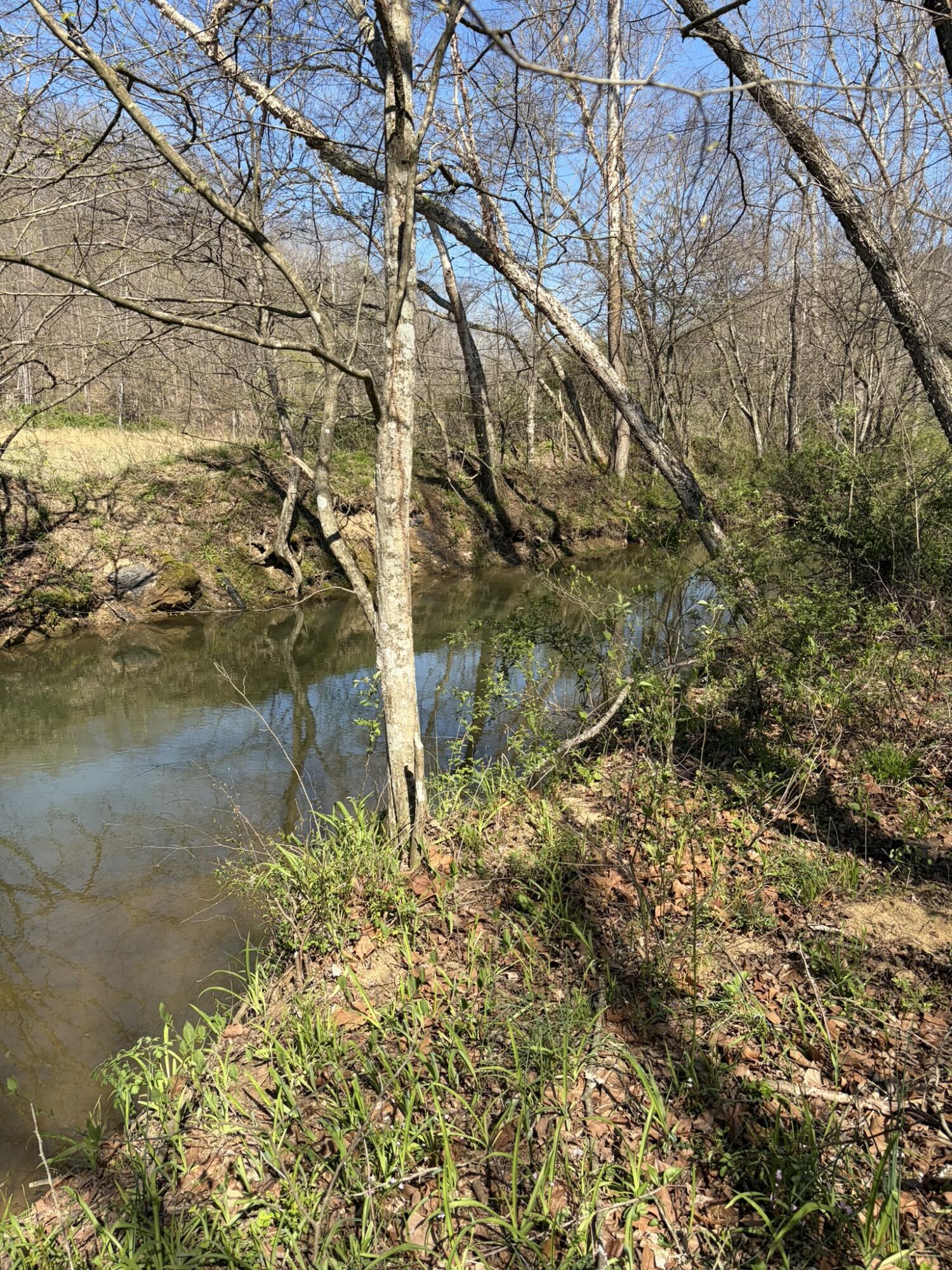 1025 State Highway 589 Property Photo 16