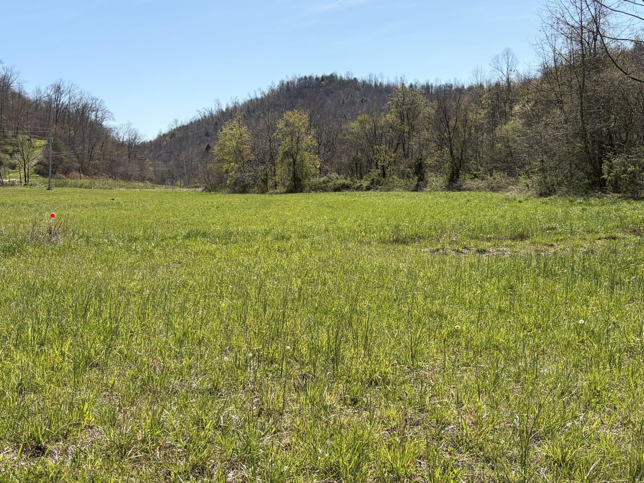 1025 State Highway 589 Property Photo 20