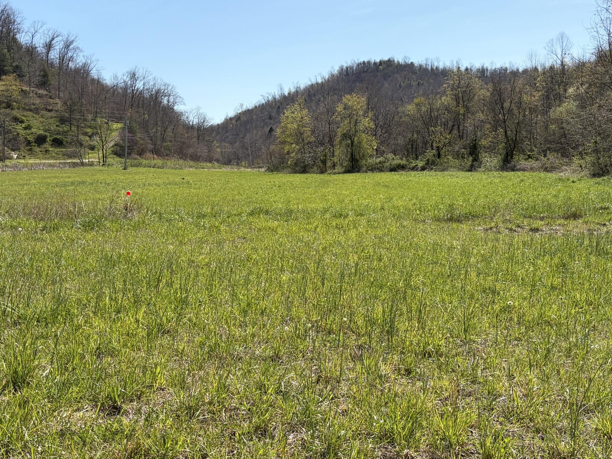1025 State Highway 589 Property Photo 21