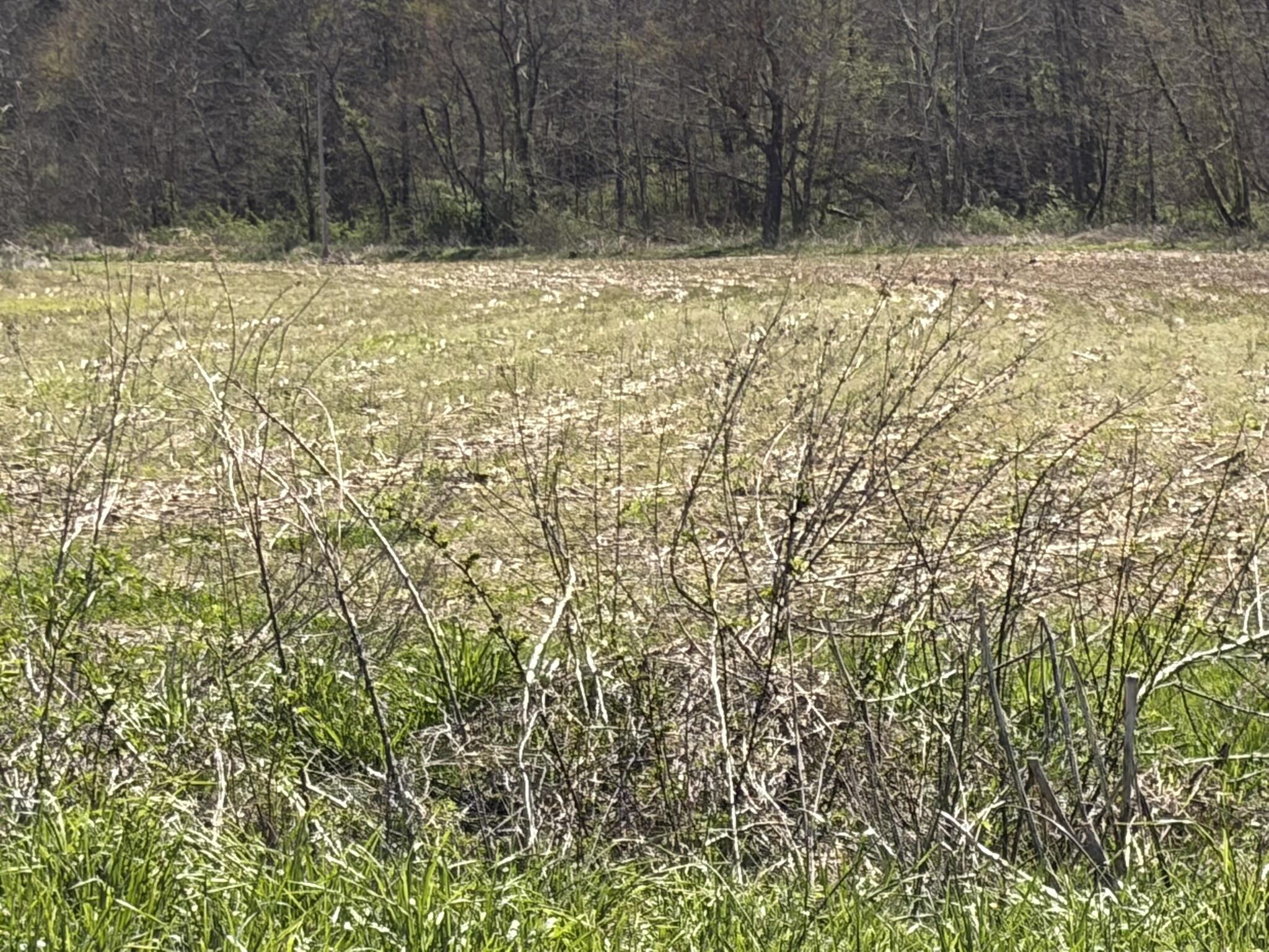 1025 State Highway 589 Property Photo 22