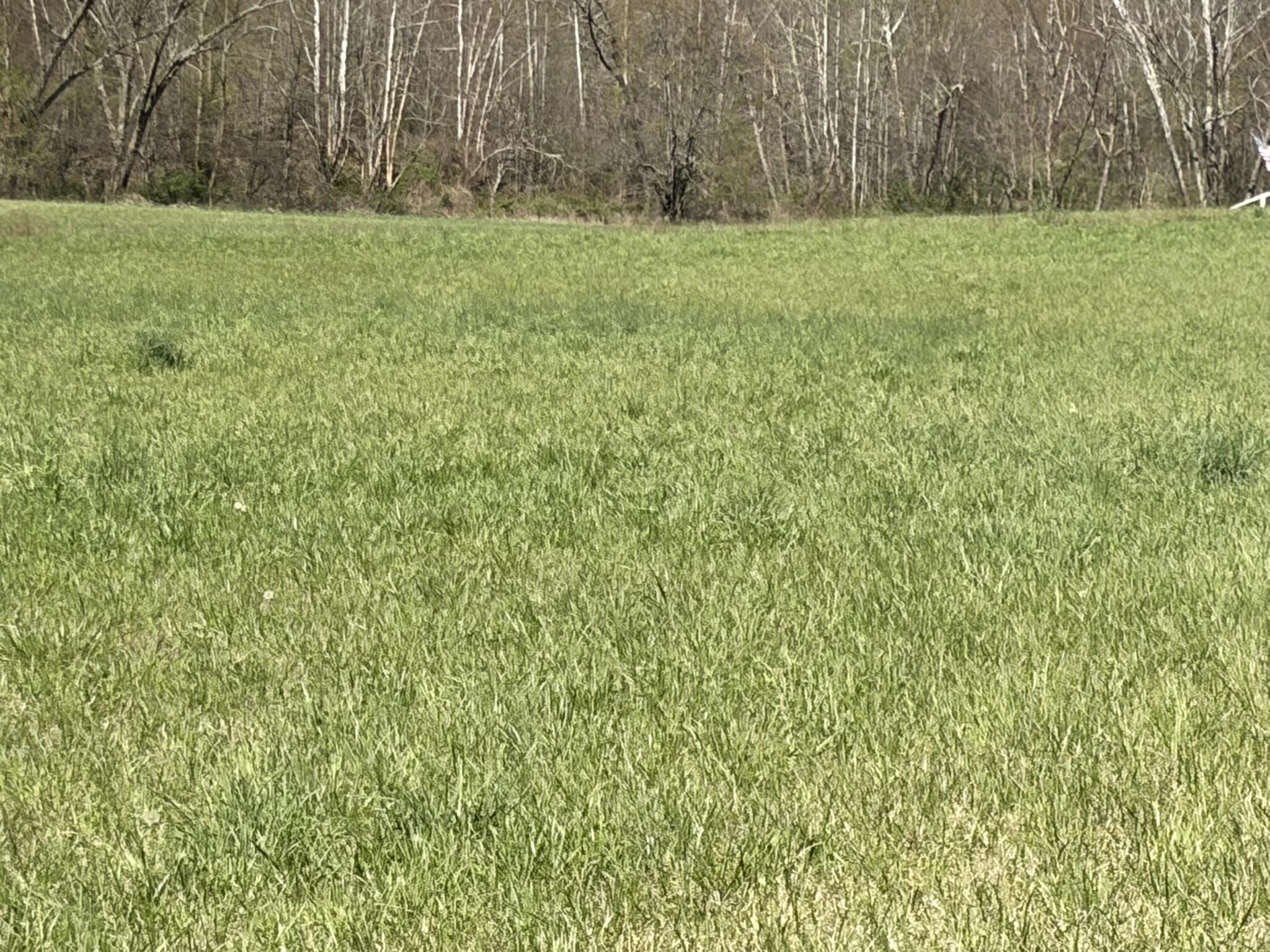1025 State Highway 589 Property Photo 23