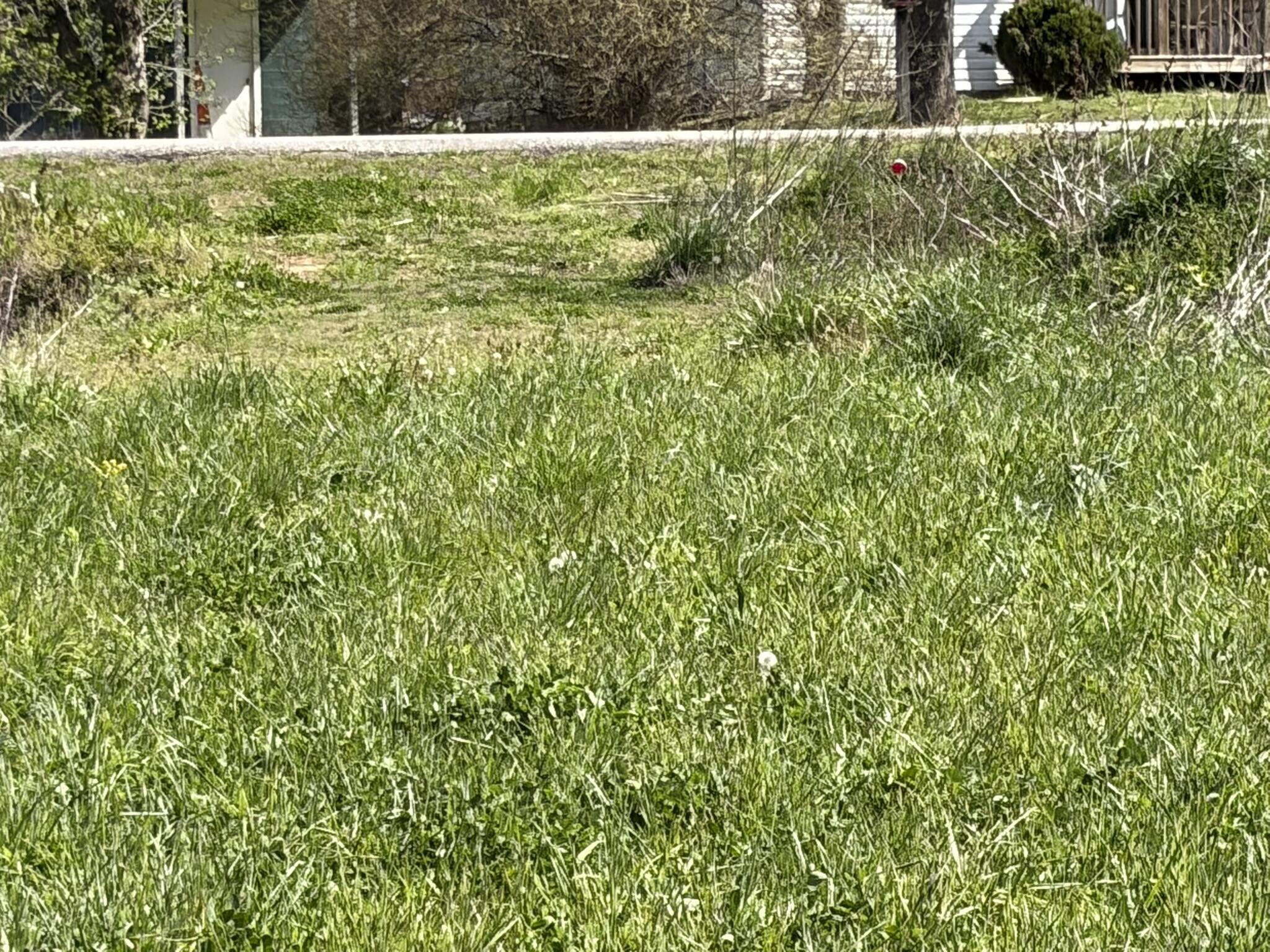 1025 State Highway 589 Property Photo 25