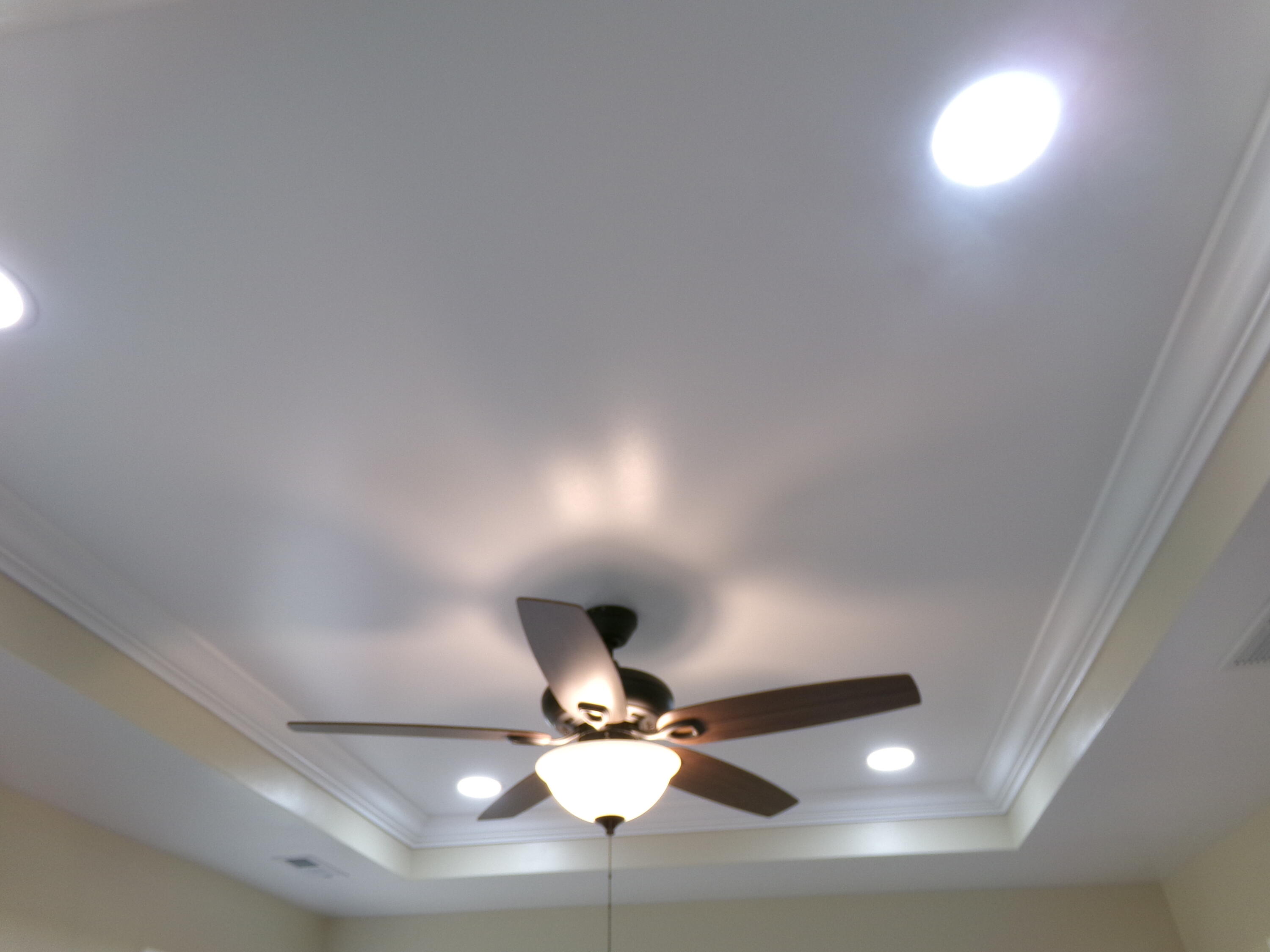 113 Spring Meadows Drive Property Photo 16
