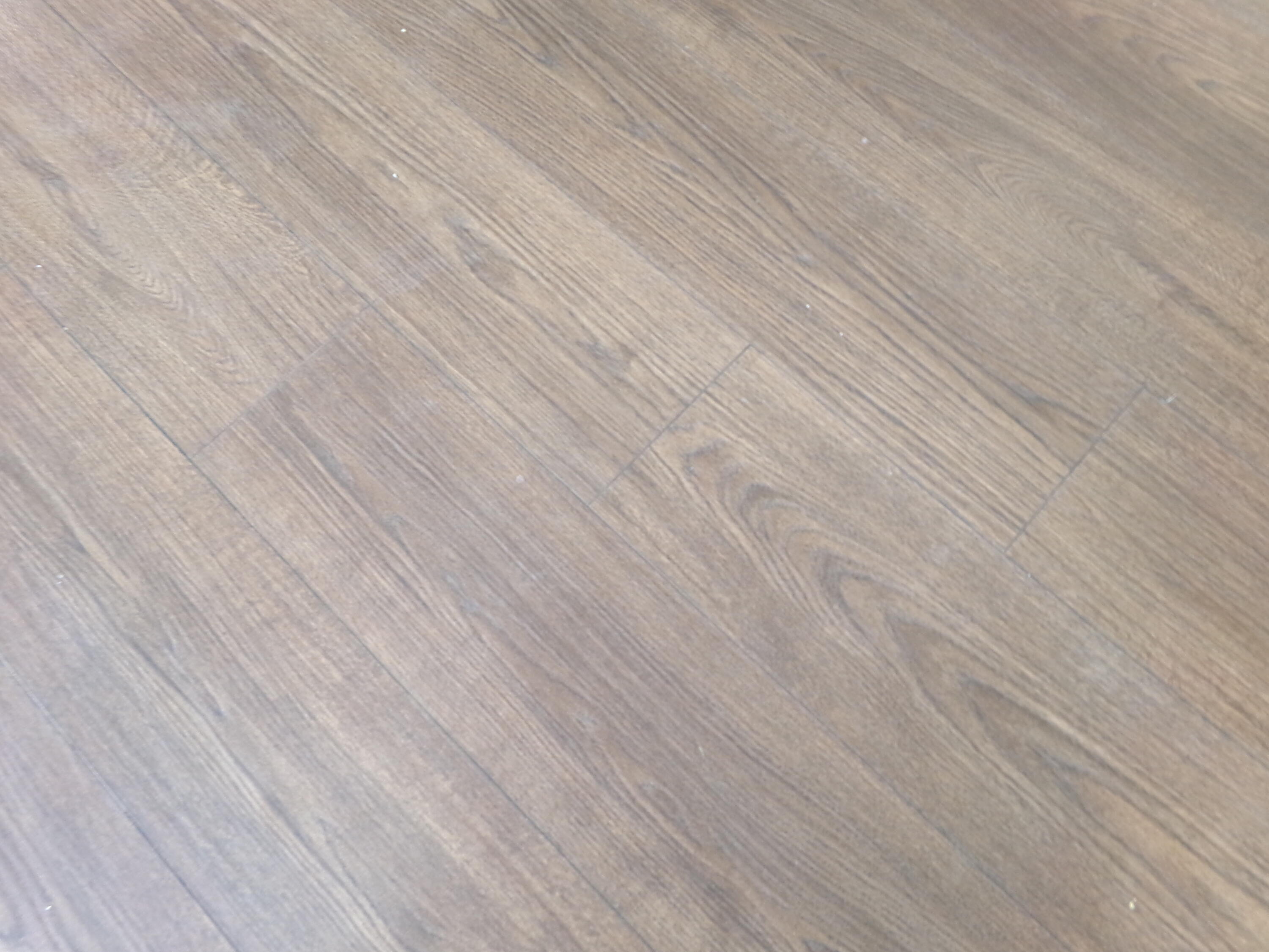 113 Spring Meadows Drive Property Photo 17