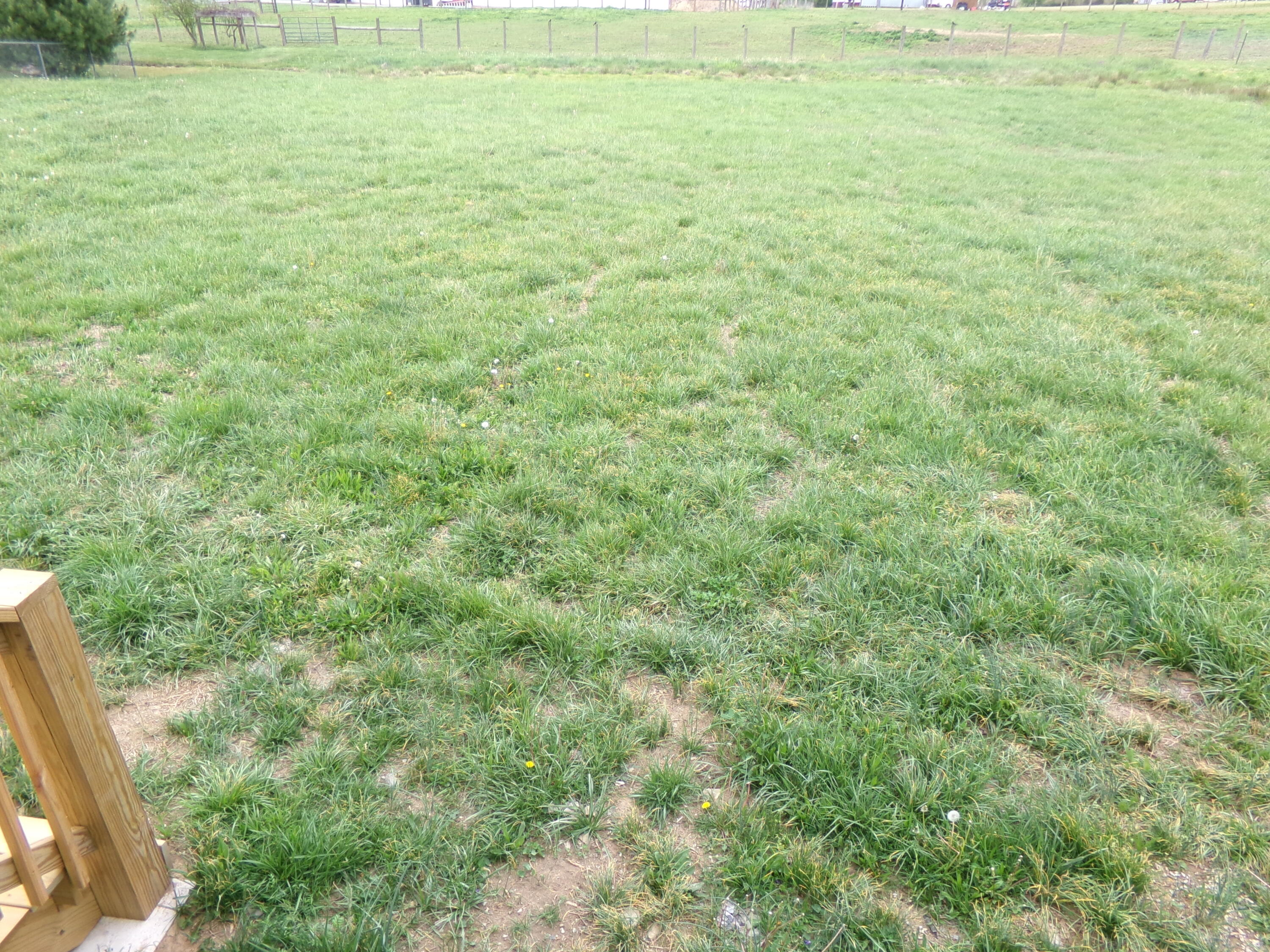 113 Spring Meadows Drive Property Photo 40