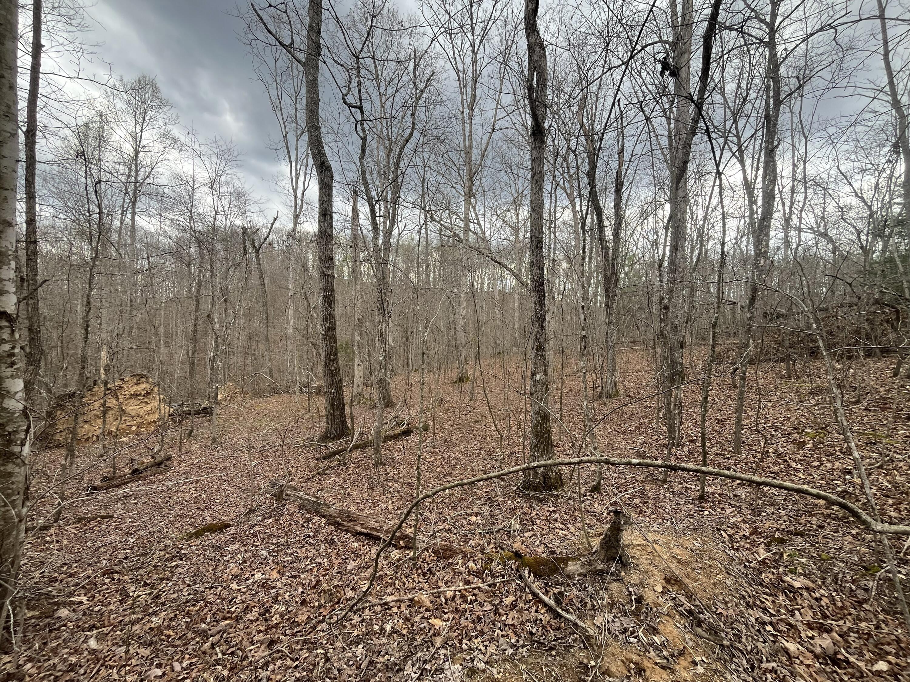 Lot 10 Mountain Springs Cem Road Property Photo 2