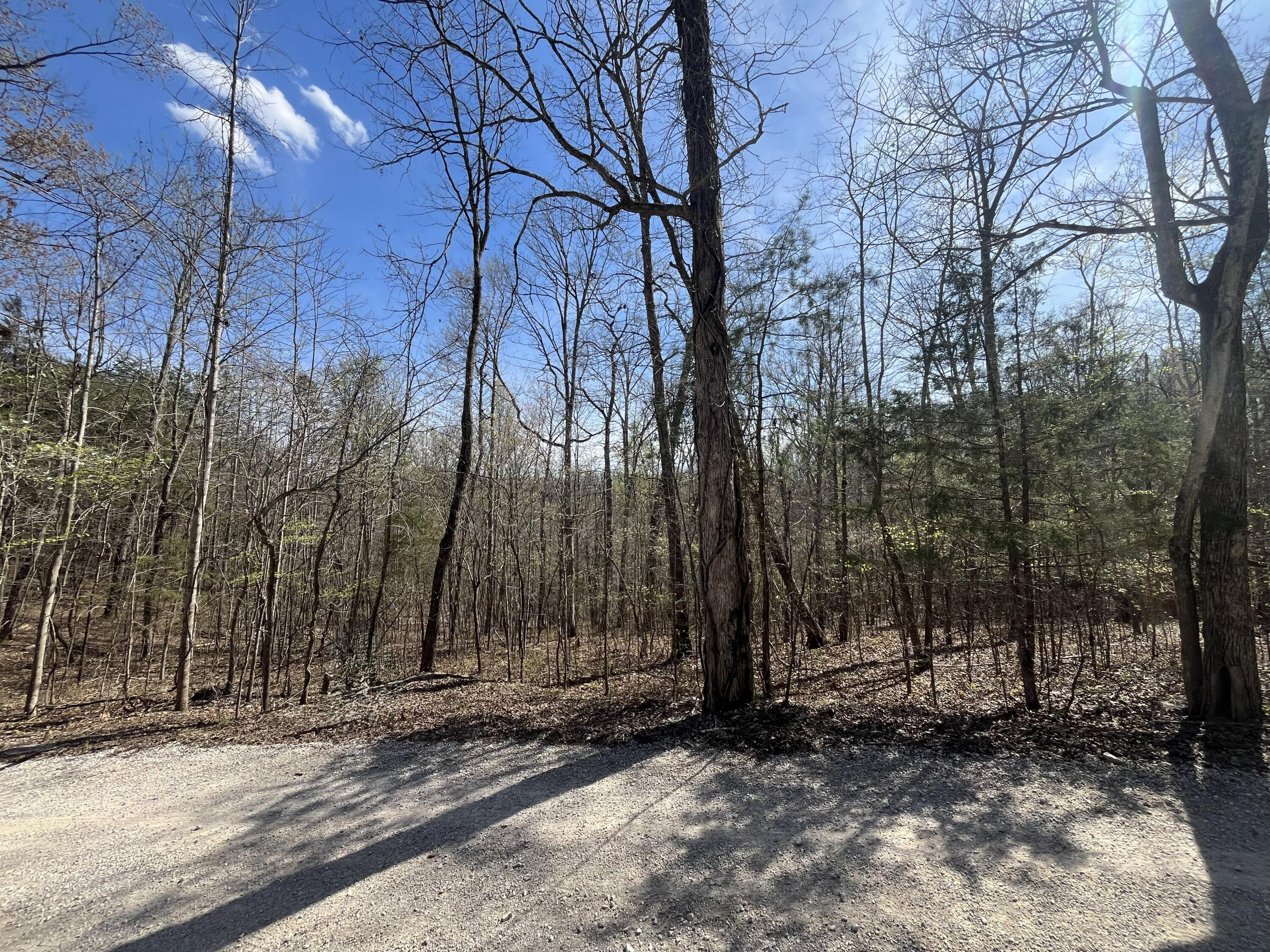 Lot 10 Mountain Springs Cem Road Property Photo 3