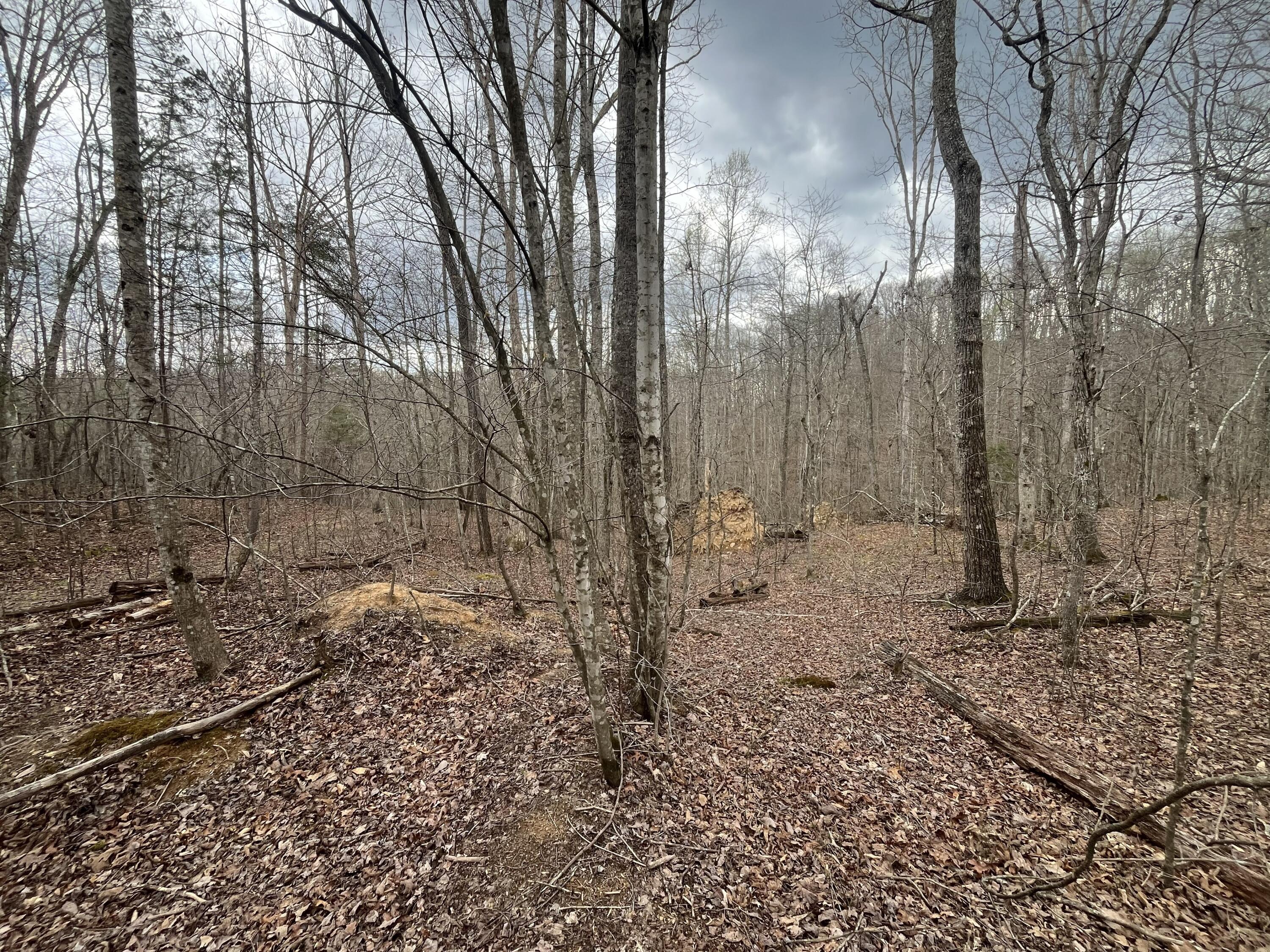 Lot 10 Mountain Springs Cem Road Property Photo 6