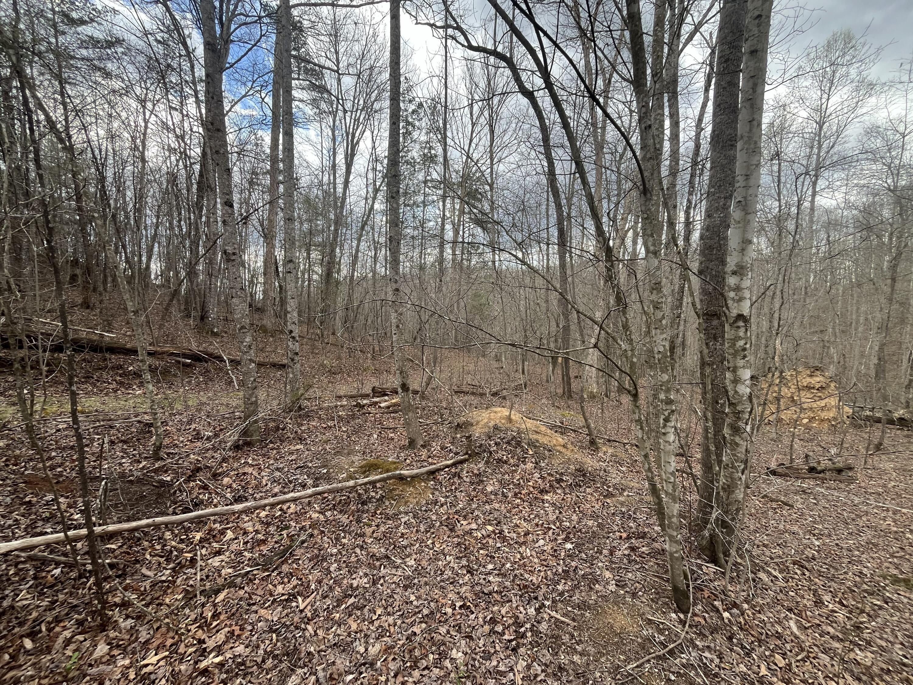 Lot 10 Mountain Springs Cem Road Property Photo 7