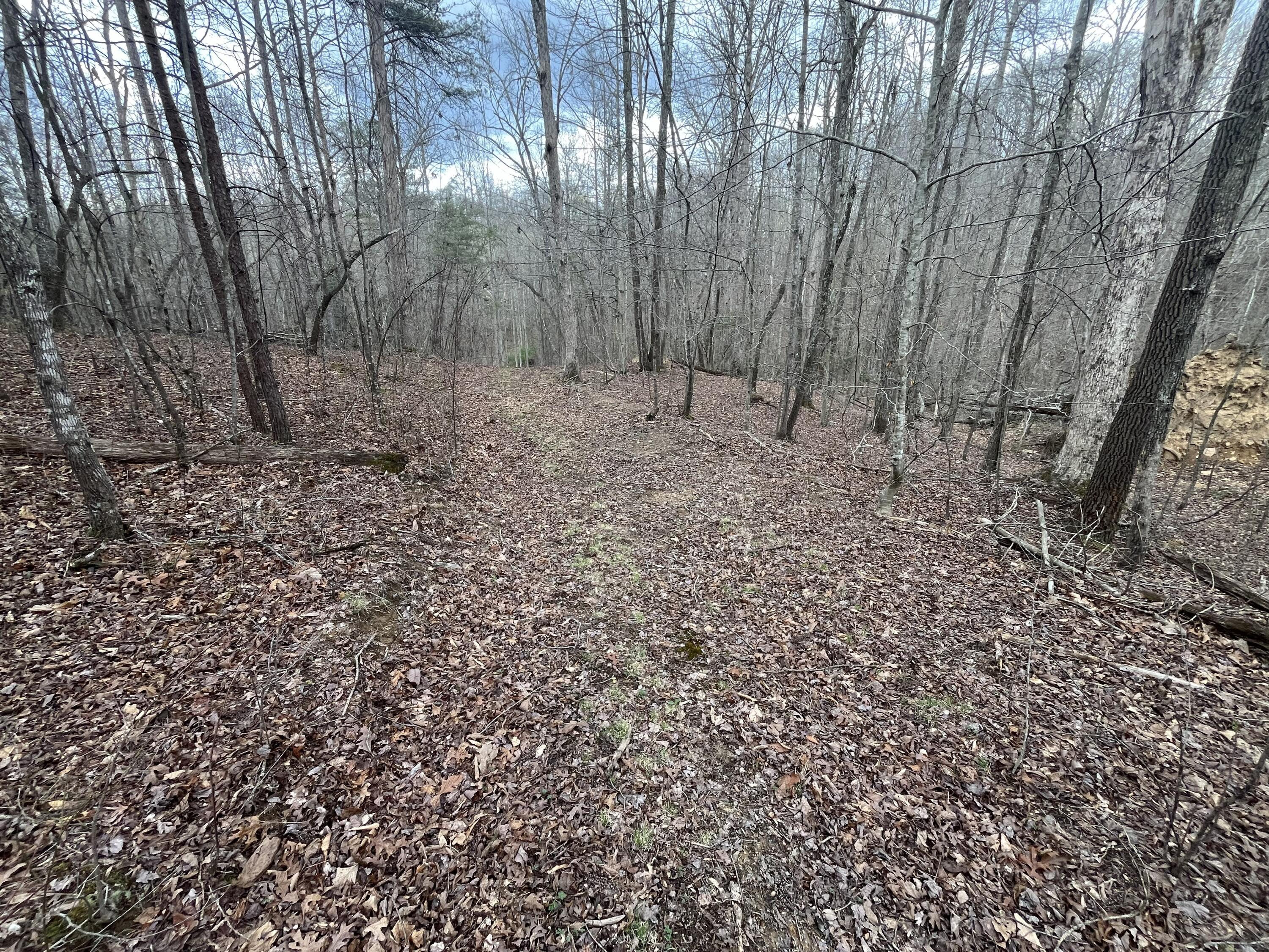 Lot 10 Mountain Springs Cem Road Property Photo 9