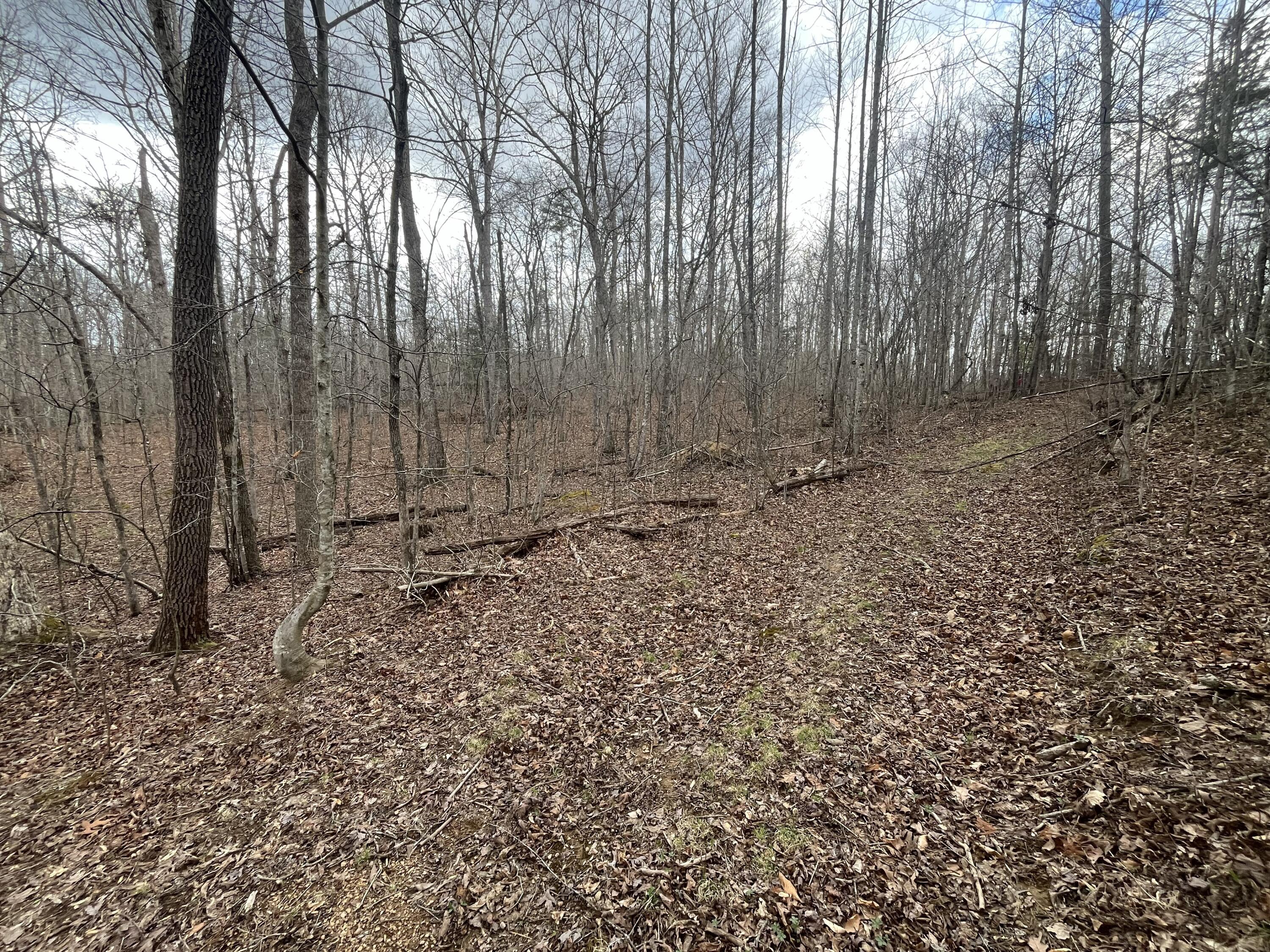 Lot 10 Mountain Springs Cem Road Property Photo 10