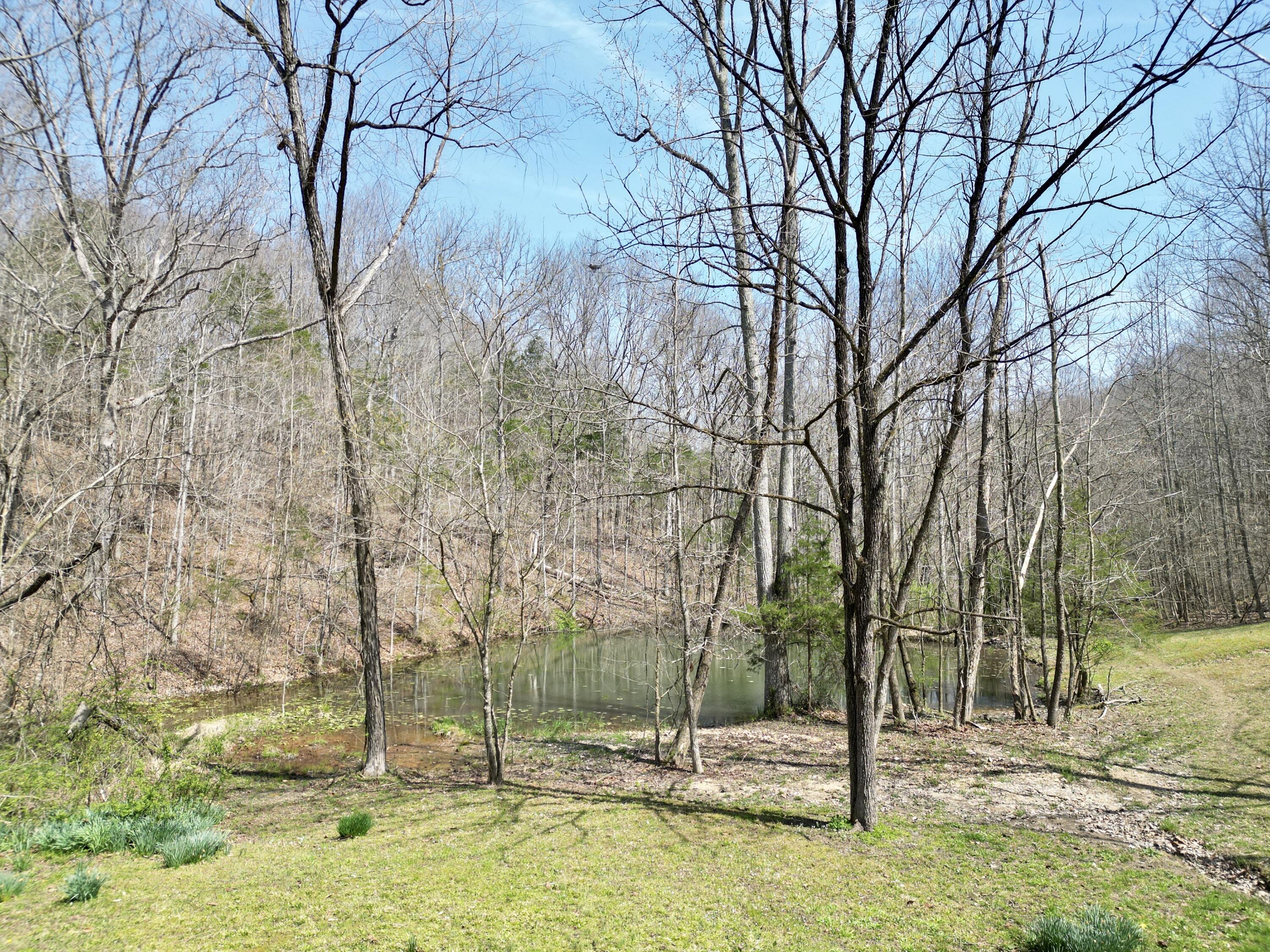 400 D Wilson Road Property Photo 7