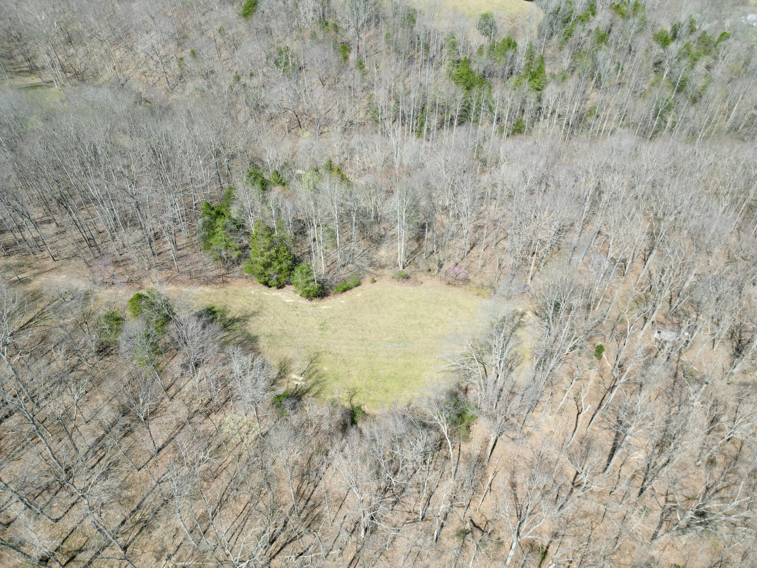 400 D Wilson Road Property Photo 83