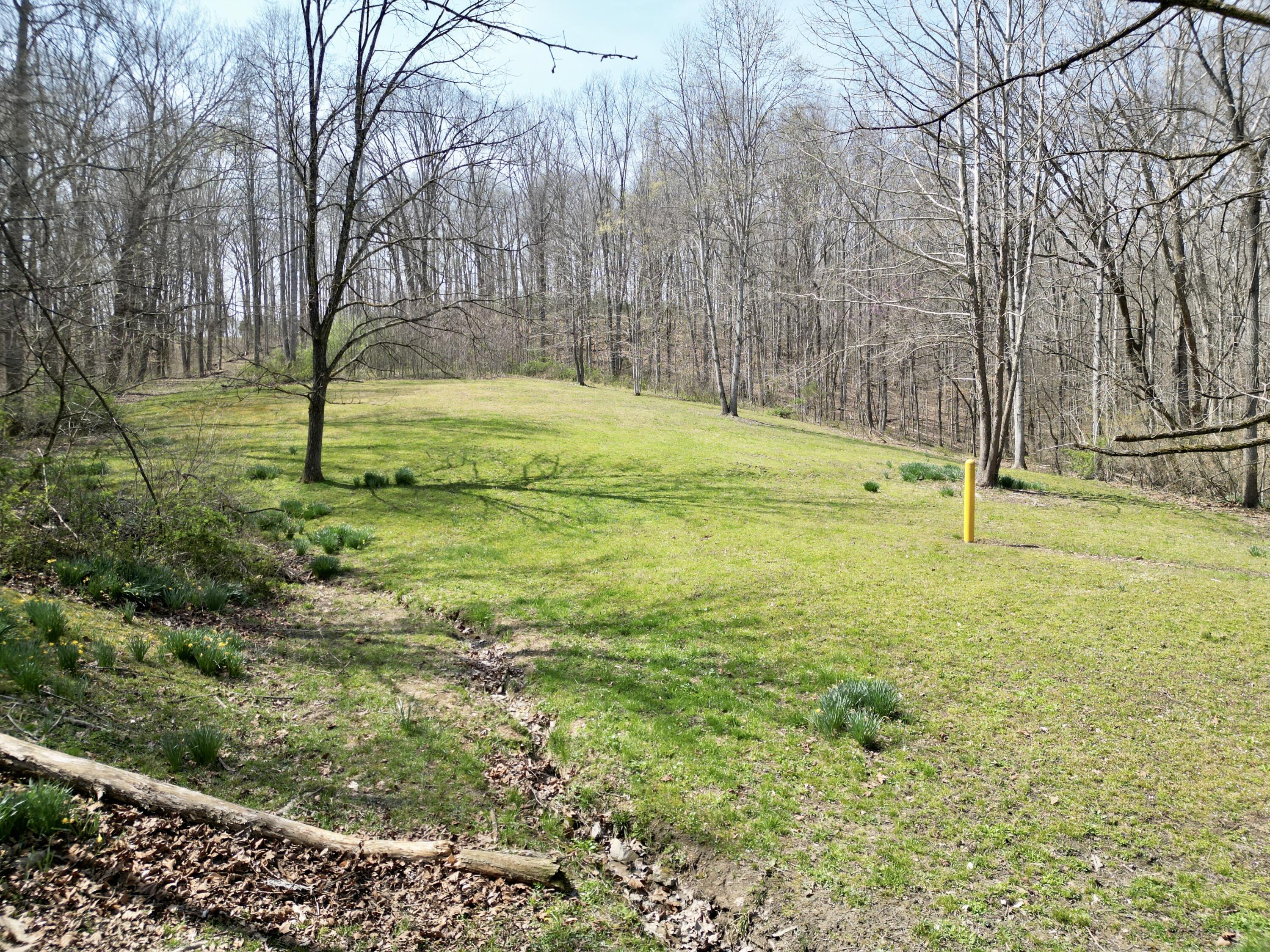 400 D Wilson Road Property Photo 86