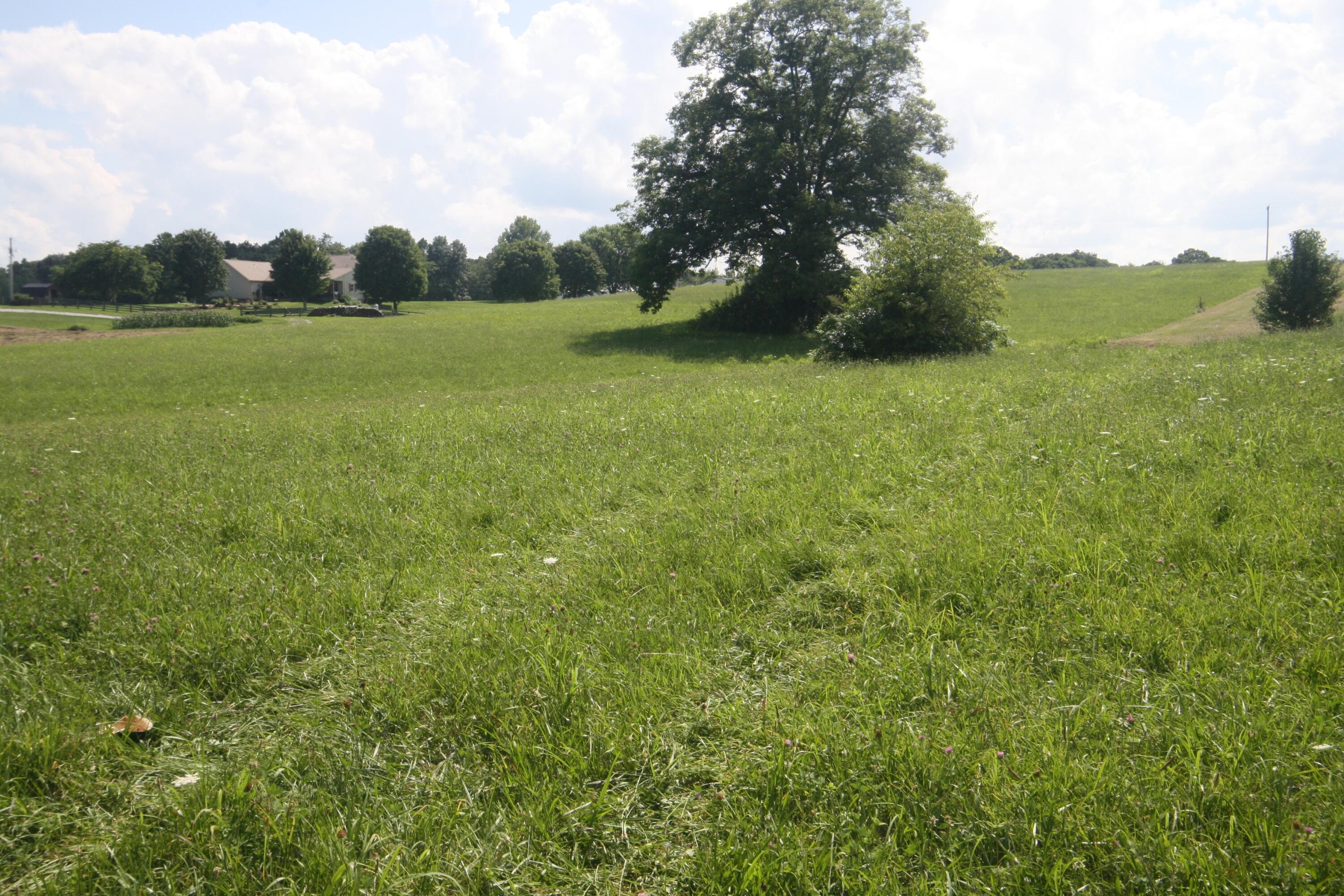 1-9 S State Highway 290 Property Photo 17