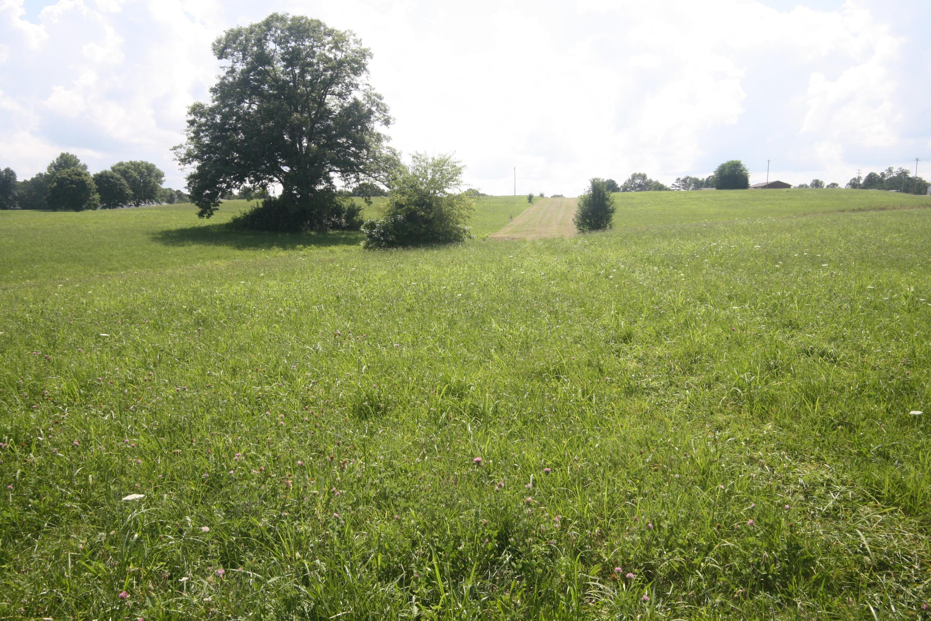 1-9 S State Highway 290 Property Photo 19