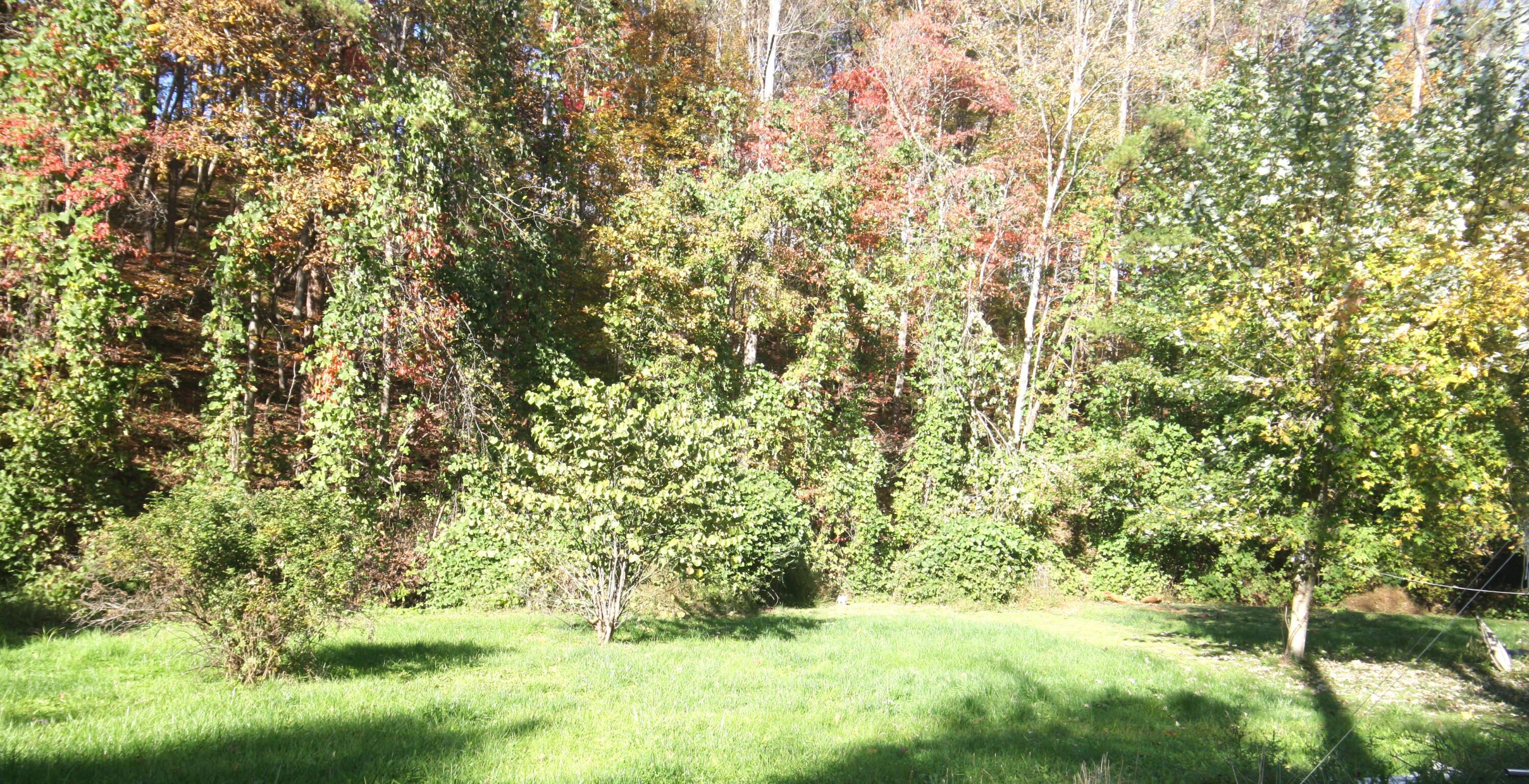 135 Kentucky 3445 Property Photo 6
