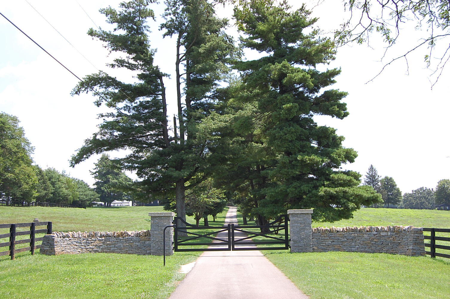 4462 Mount Horeb Pike Property Photo 2