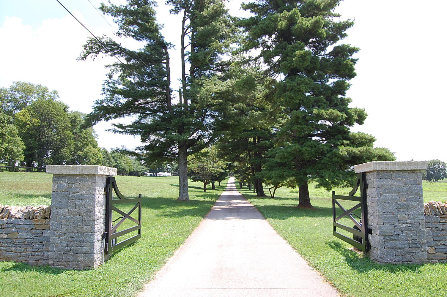 4462 Mount Horeb Pike Property Photo 3