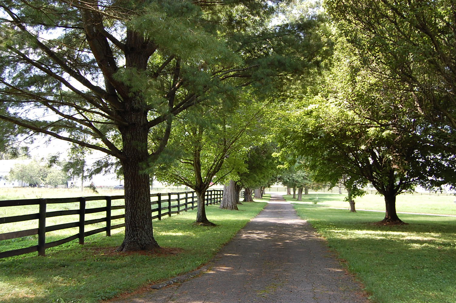 4462 Mount Horeb Pike Property Photo 4