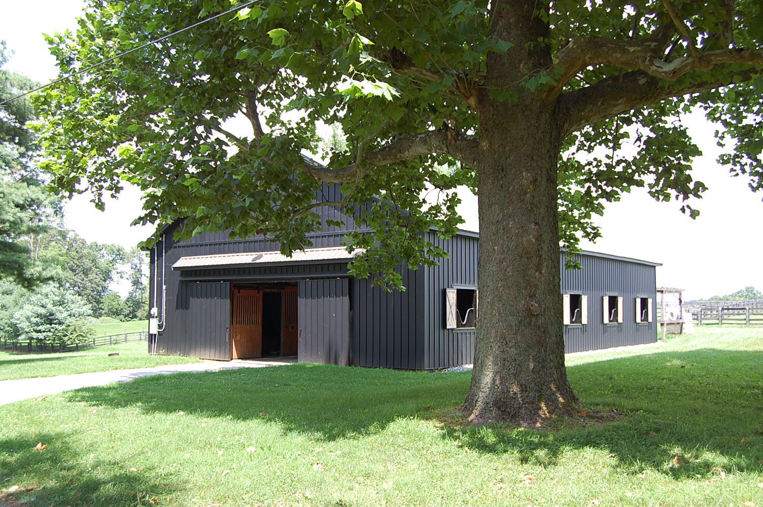 4462 Mount Horeb Pike Property Photo 7