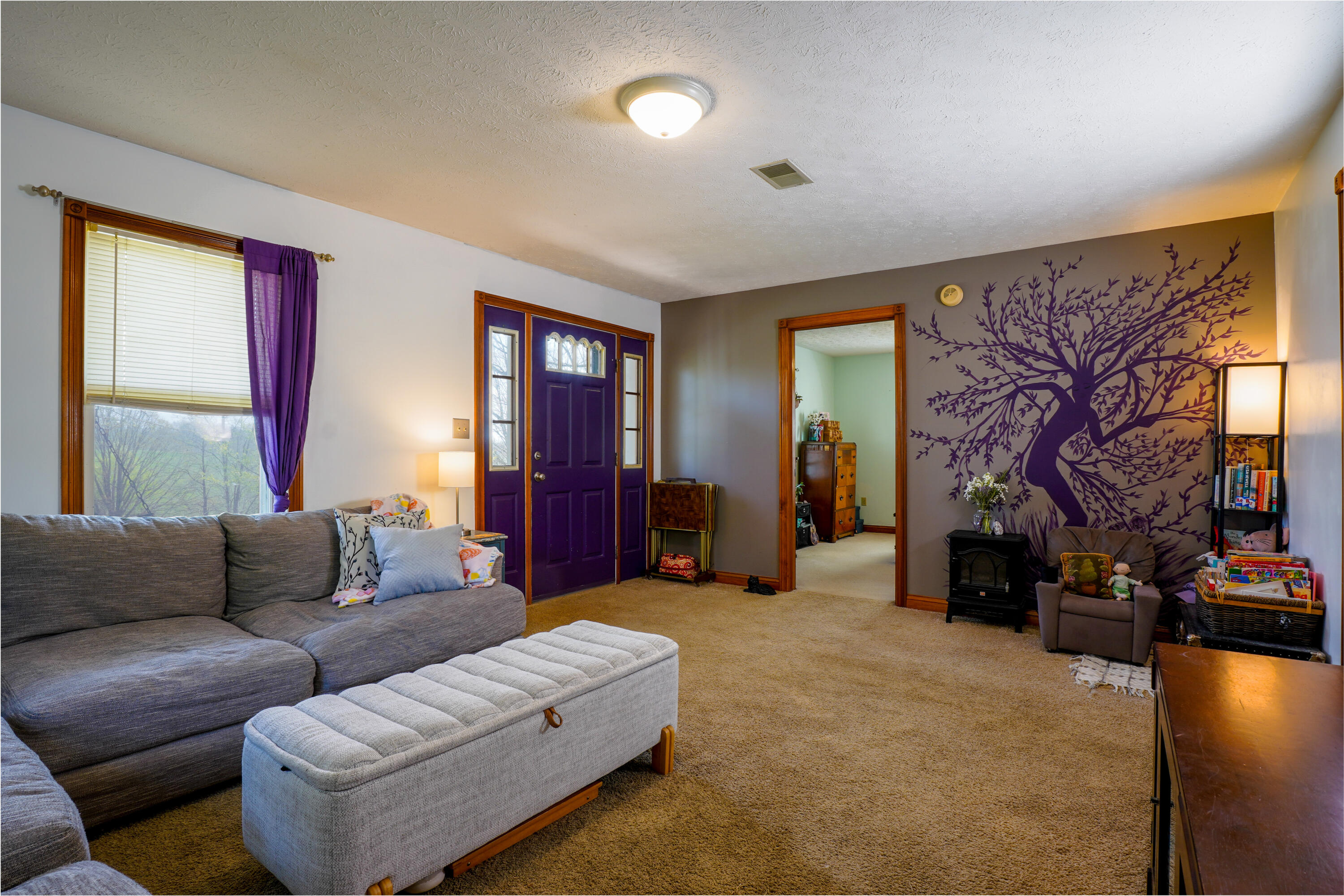 20 Roller Knob Road Property Photo 2