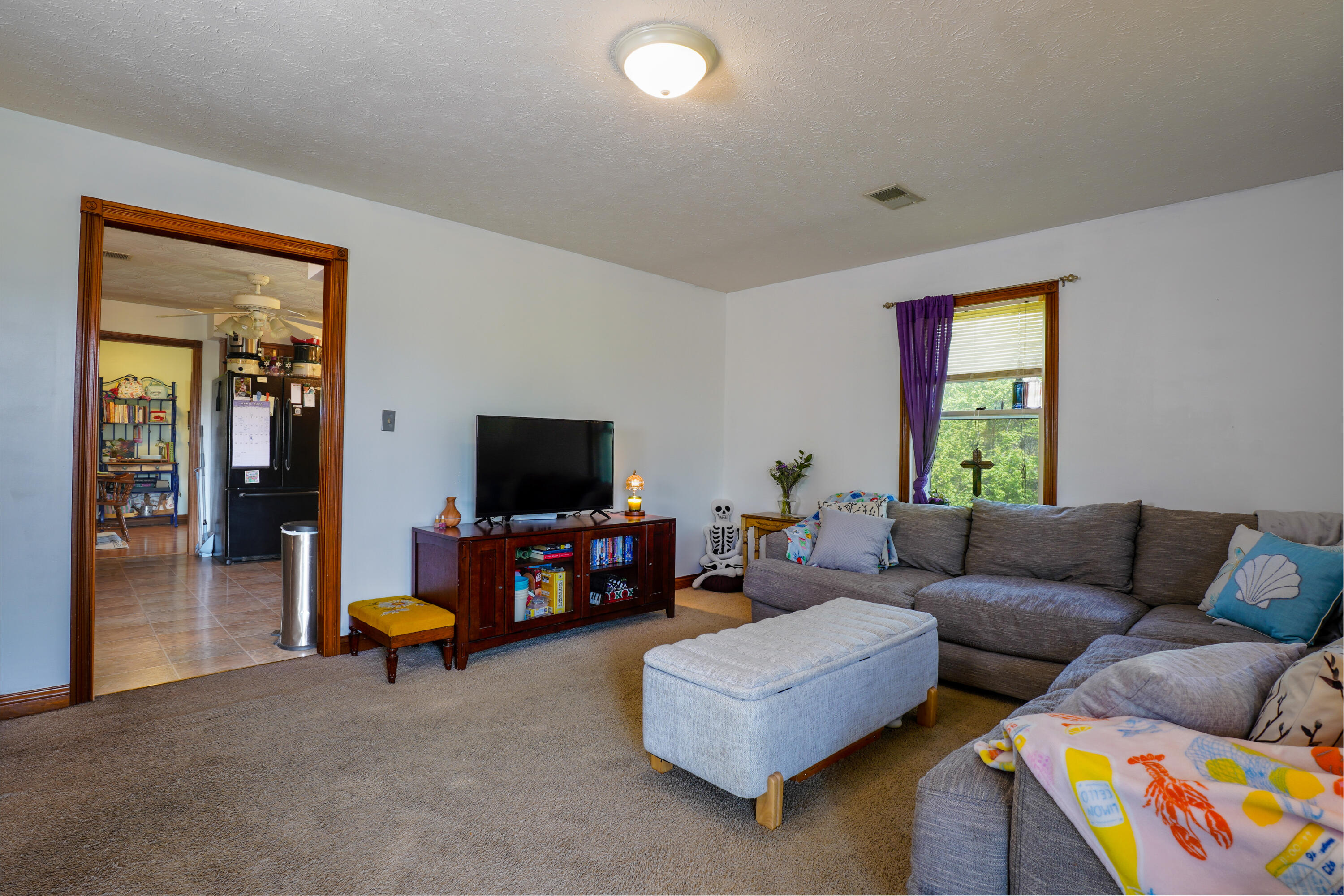 20 Roller Knob Road Property Photo 3