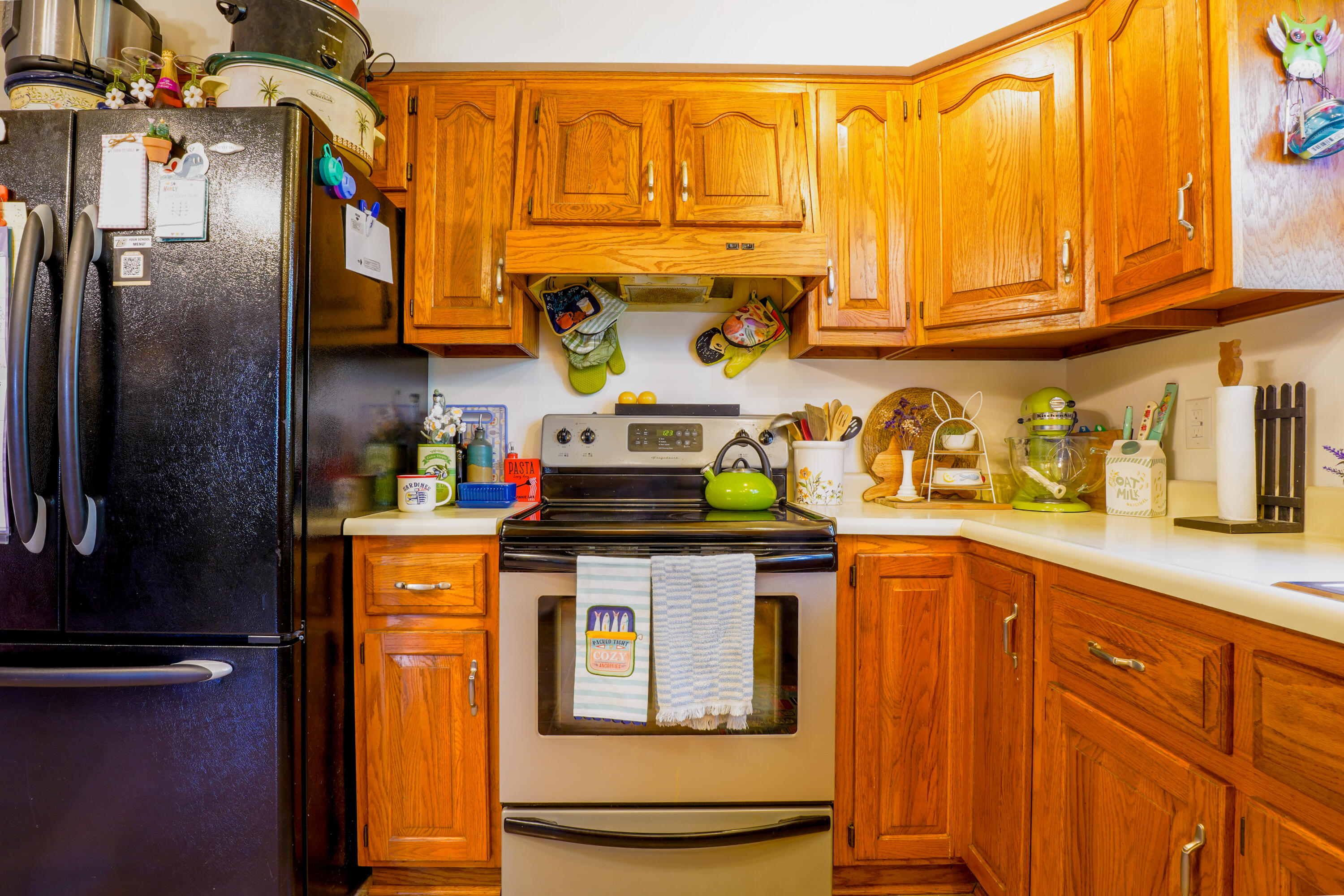 20 Roller Knob Road Property Photo 5