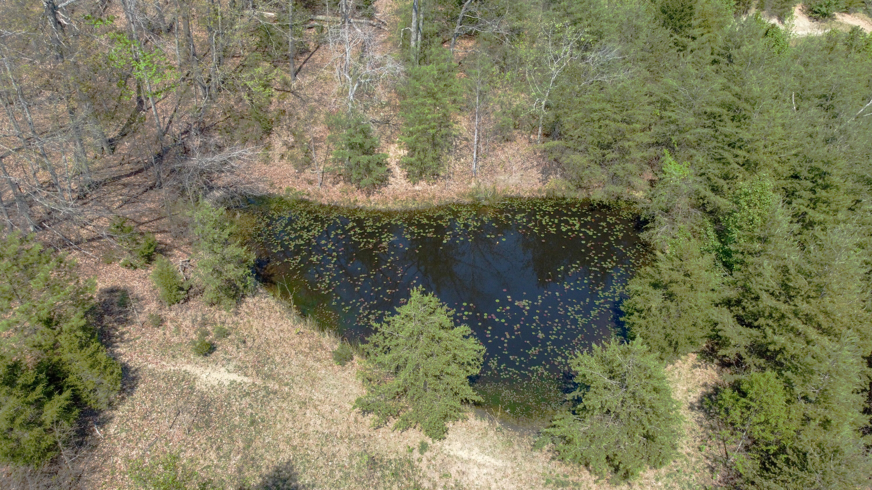 20 Roller Knob Road Property Photo 23