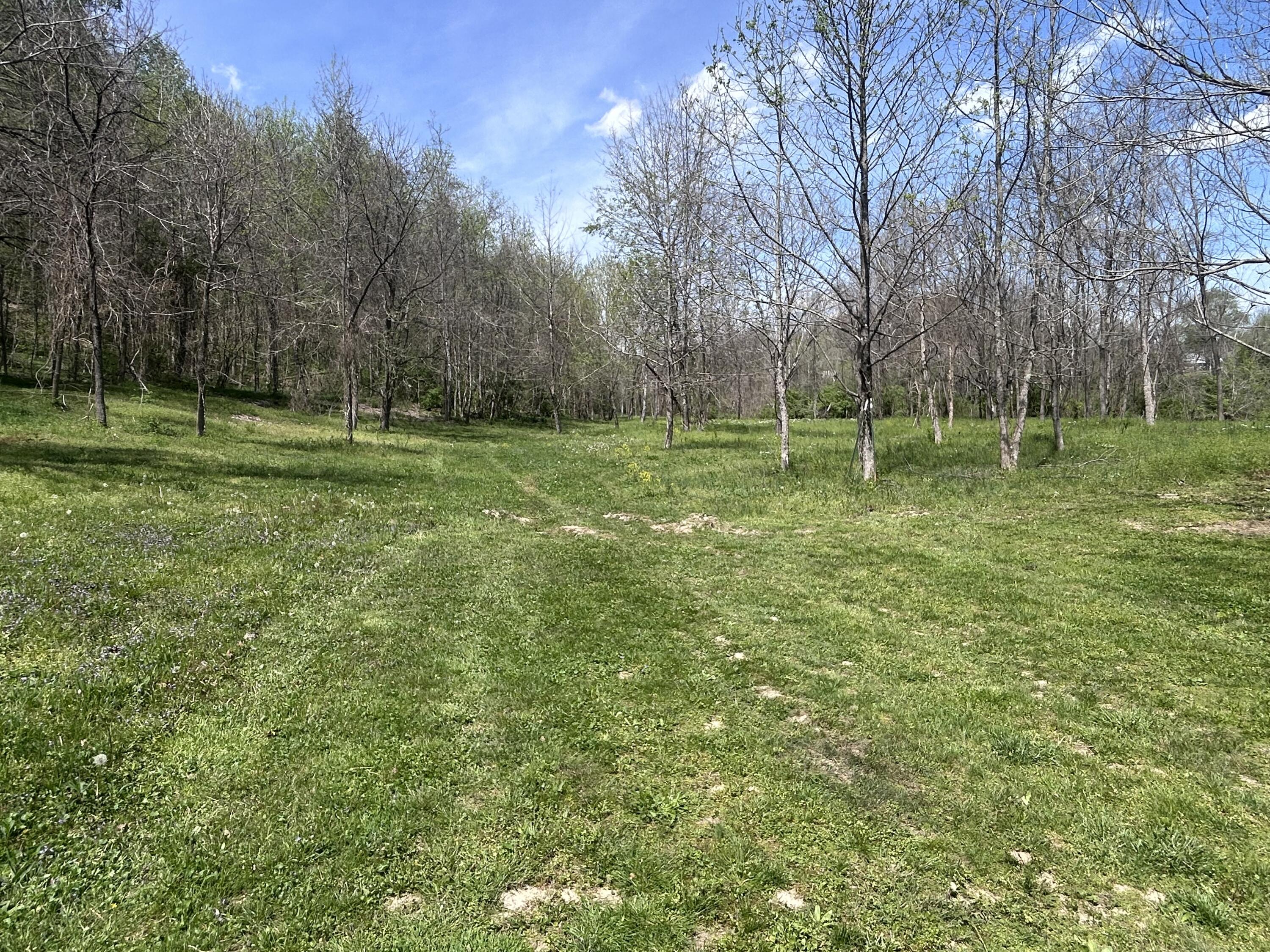 507 Nosco Road Property Photo 8