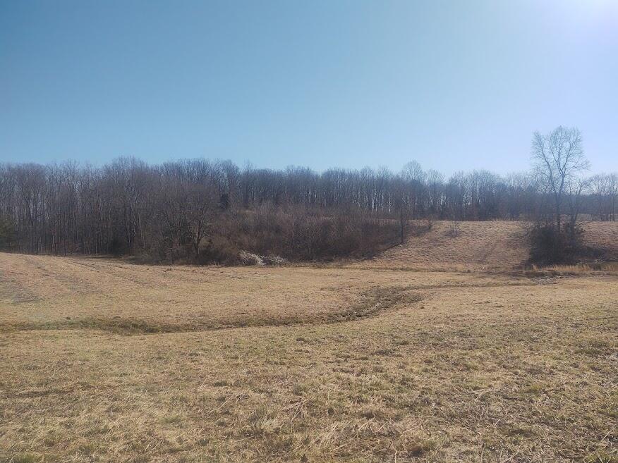 3750 Ky-801 Property Photo 6
