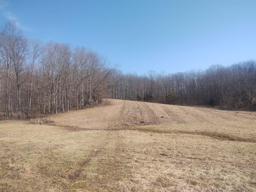 3750 Ky-801 Property Photo 7