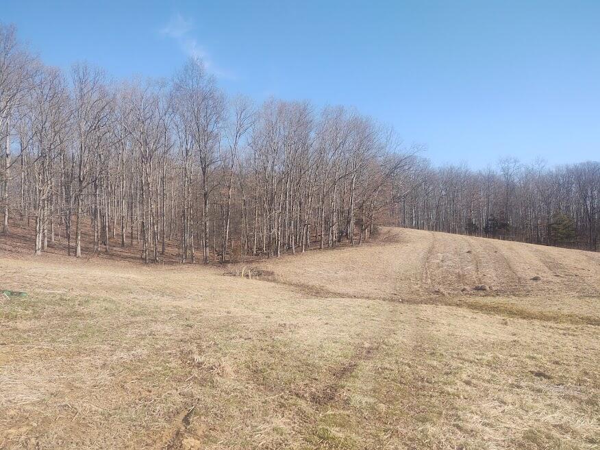 3750 Ky-801 Property Photo 8