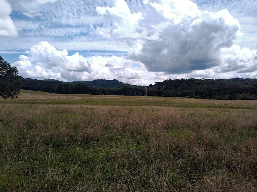 460 Skaggs Road Property Photo 1