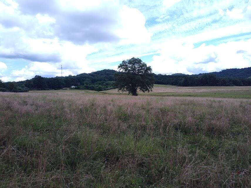 460 Skaggs Road Property Photo 2