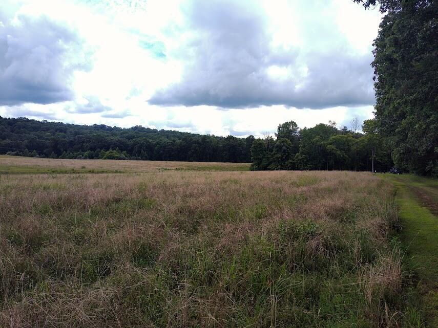460 Skaggs Road Property Photo 4