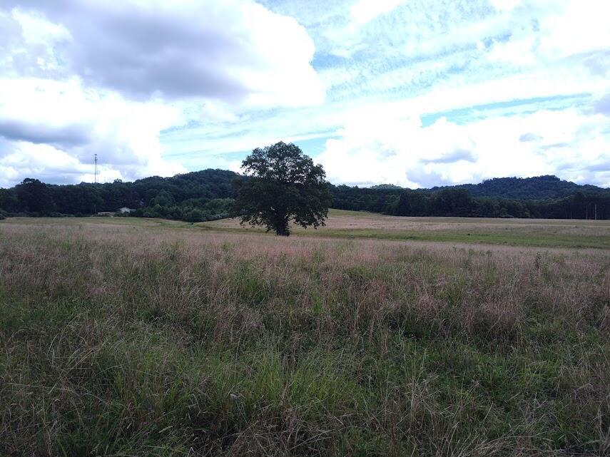 460 Skaggs Road Property Photo 5