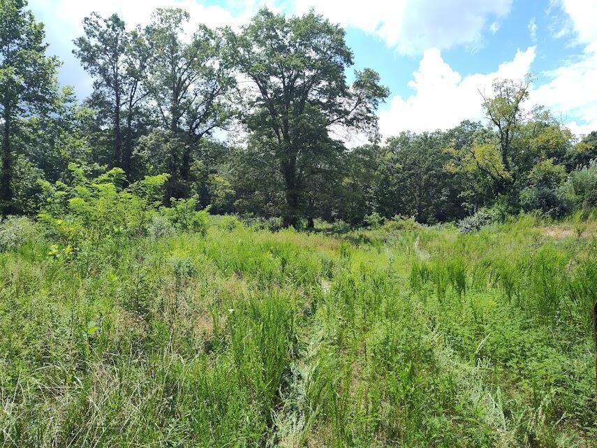1150 Logan Hollow Road Property Photo 1