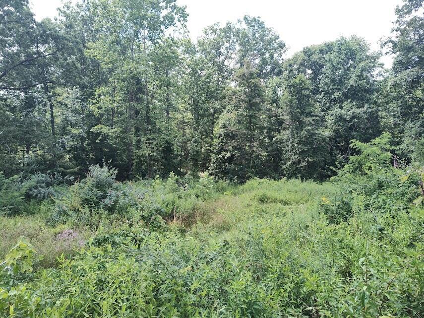 1150 Logan Hollow Road Property Photo 2