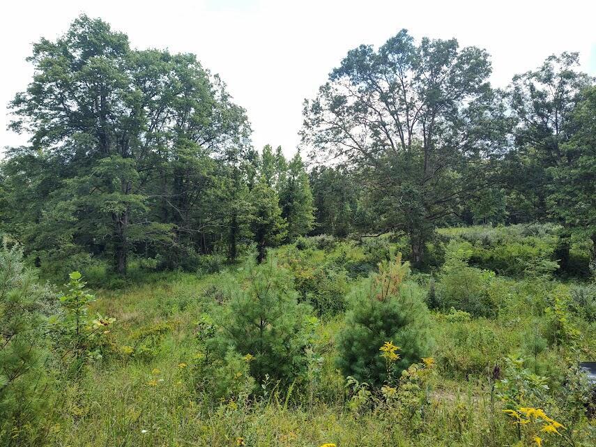1150 Logan Hollow Road Property Photo 4