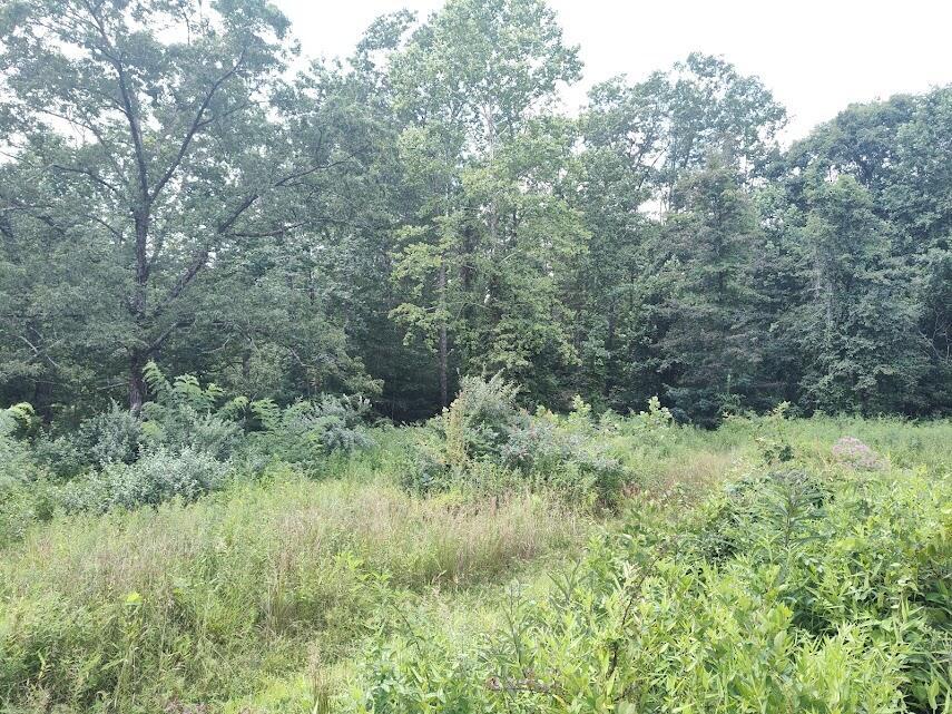 1150 Logan Hollow Road Property Photo 5