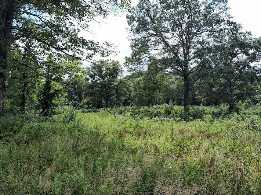 1150 Logan Hollow Road Property Photo 6