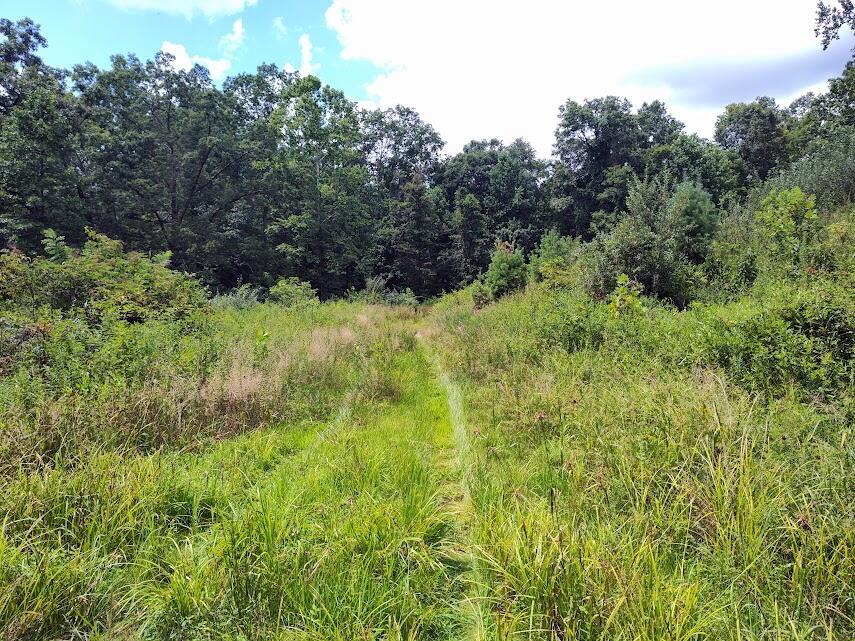 1150 Logan Hollow Road Property Photo 7