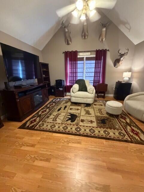 42 May Street Property Photo 28
