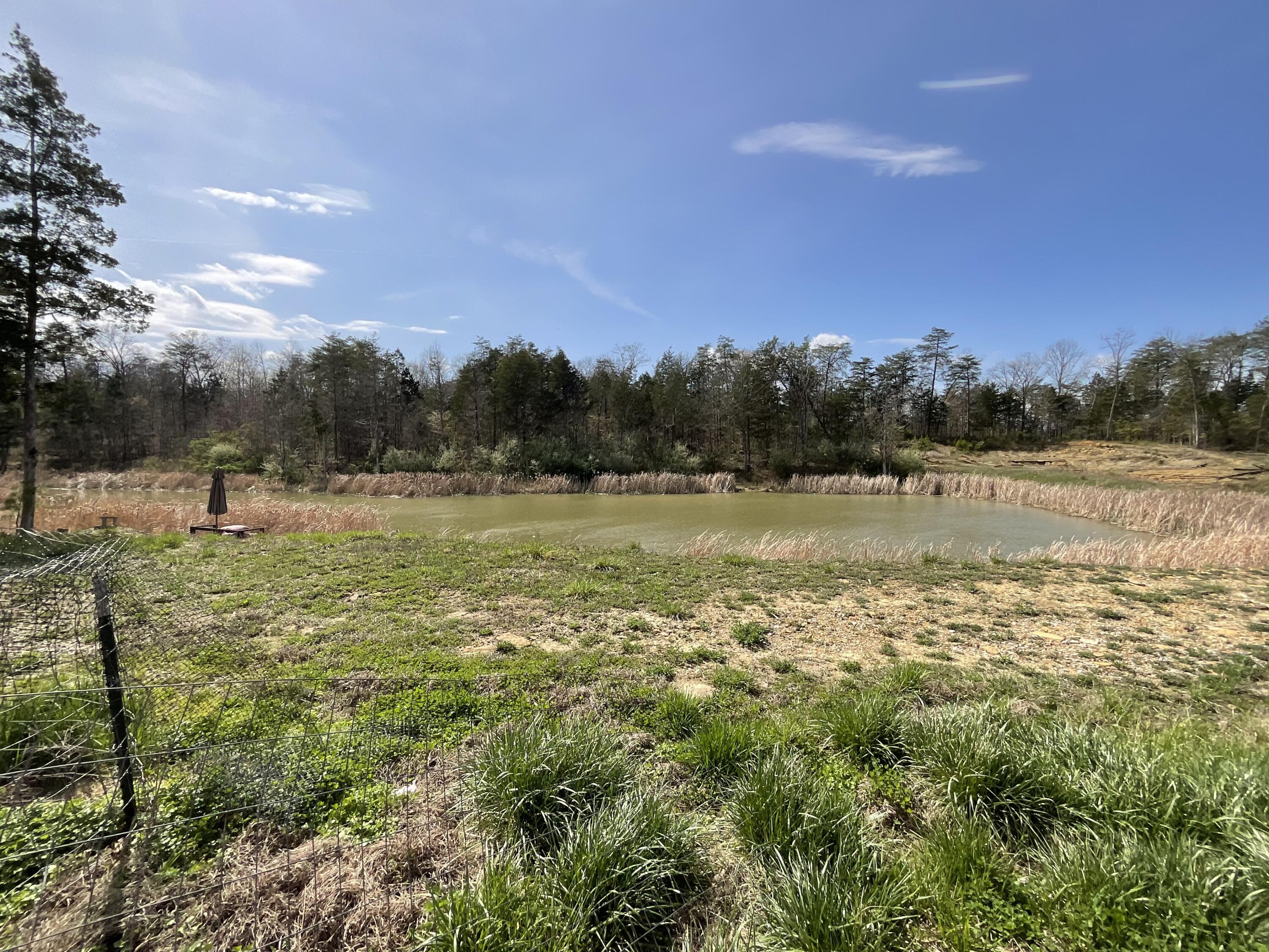 281 Adams Road Property Photo 41