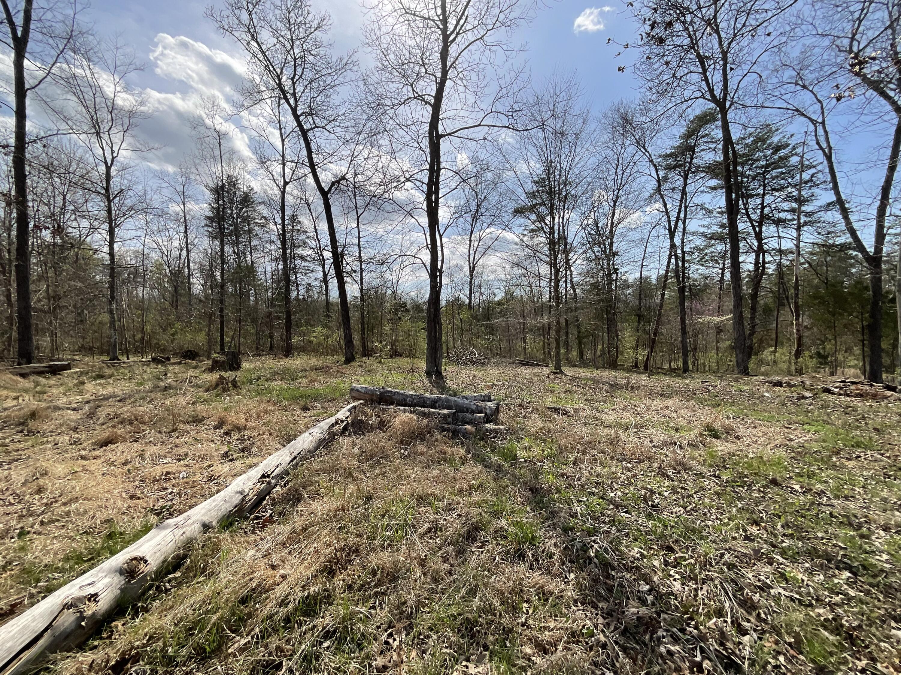 281 Adams Road Property Photo 51