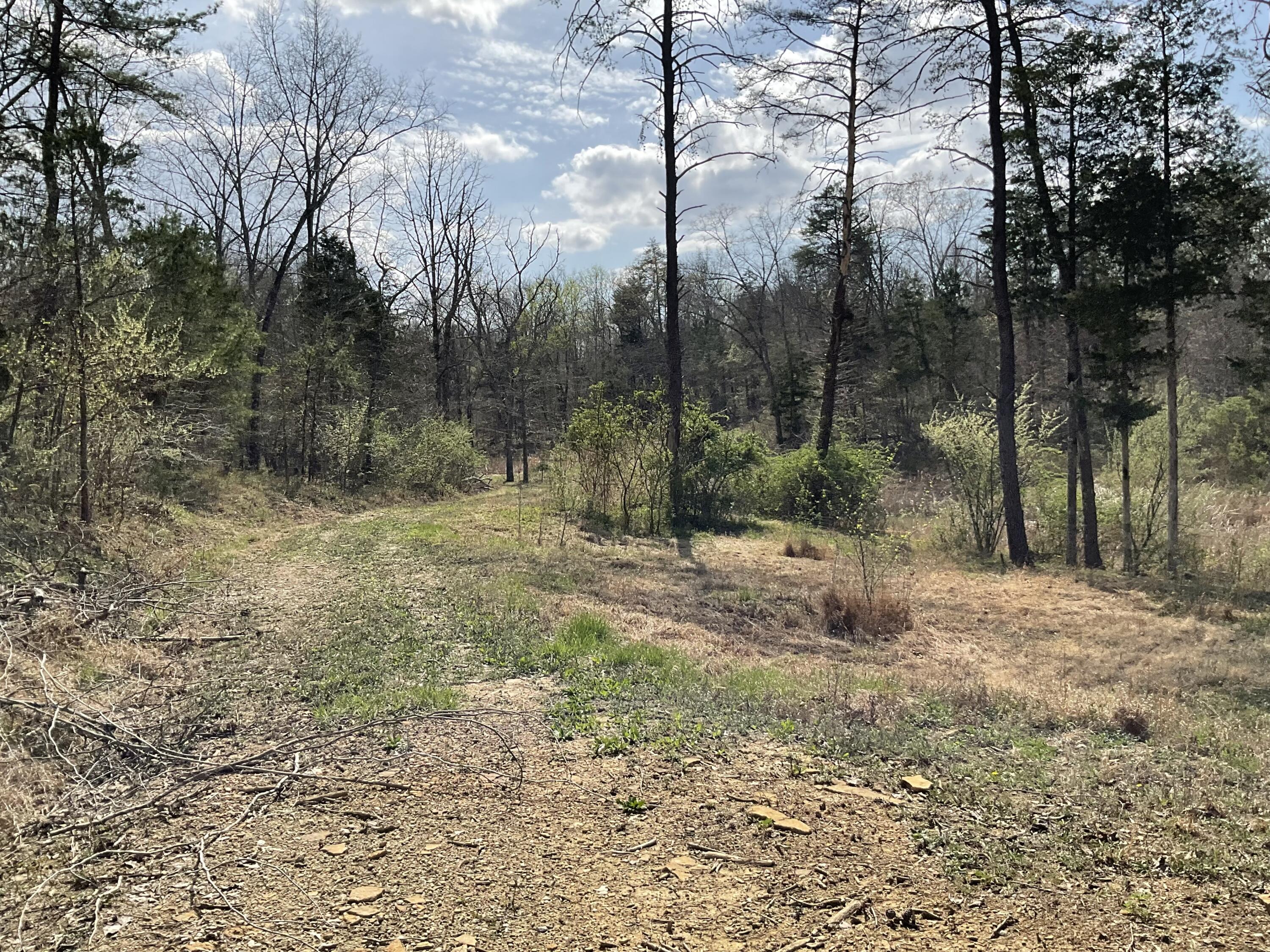 281 Adams Road Property Photo 53