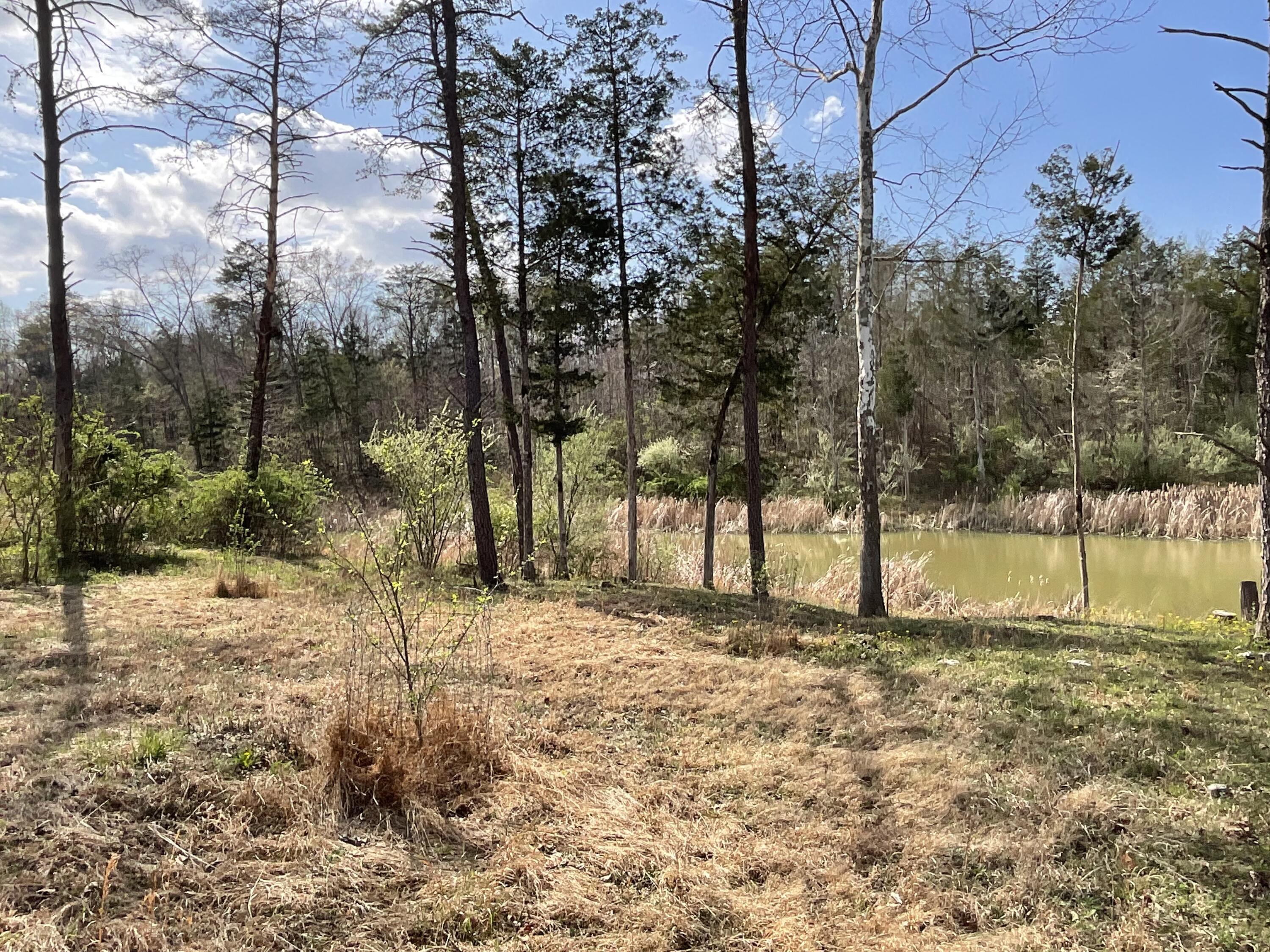 281 Adams Road Property Photo 54