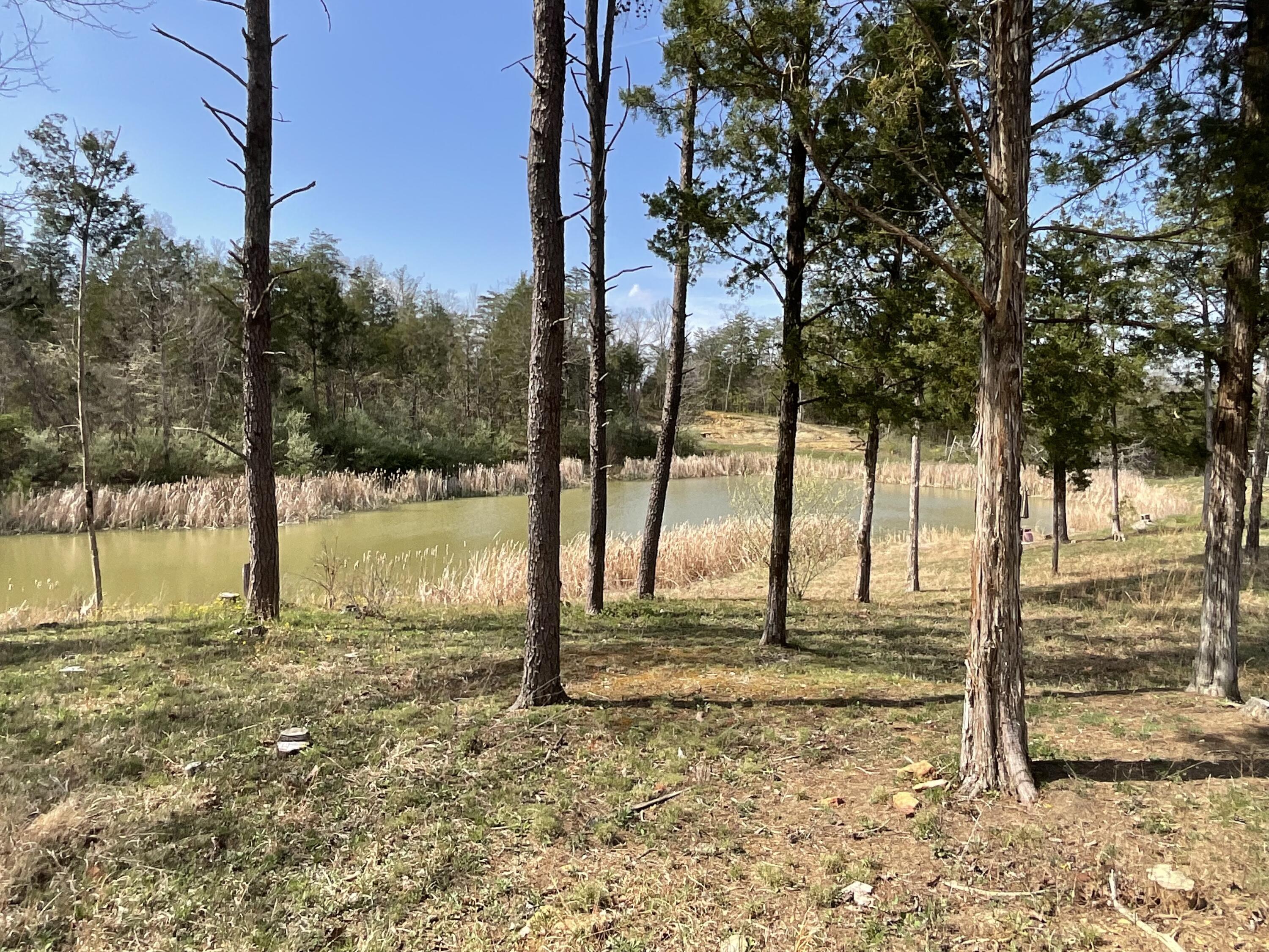 281 Adams Road Property Photo 55