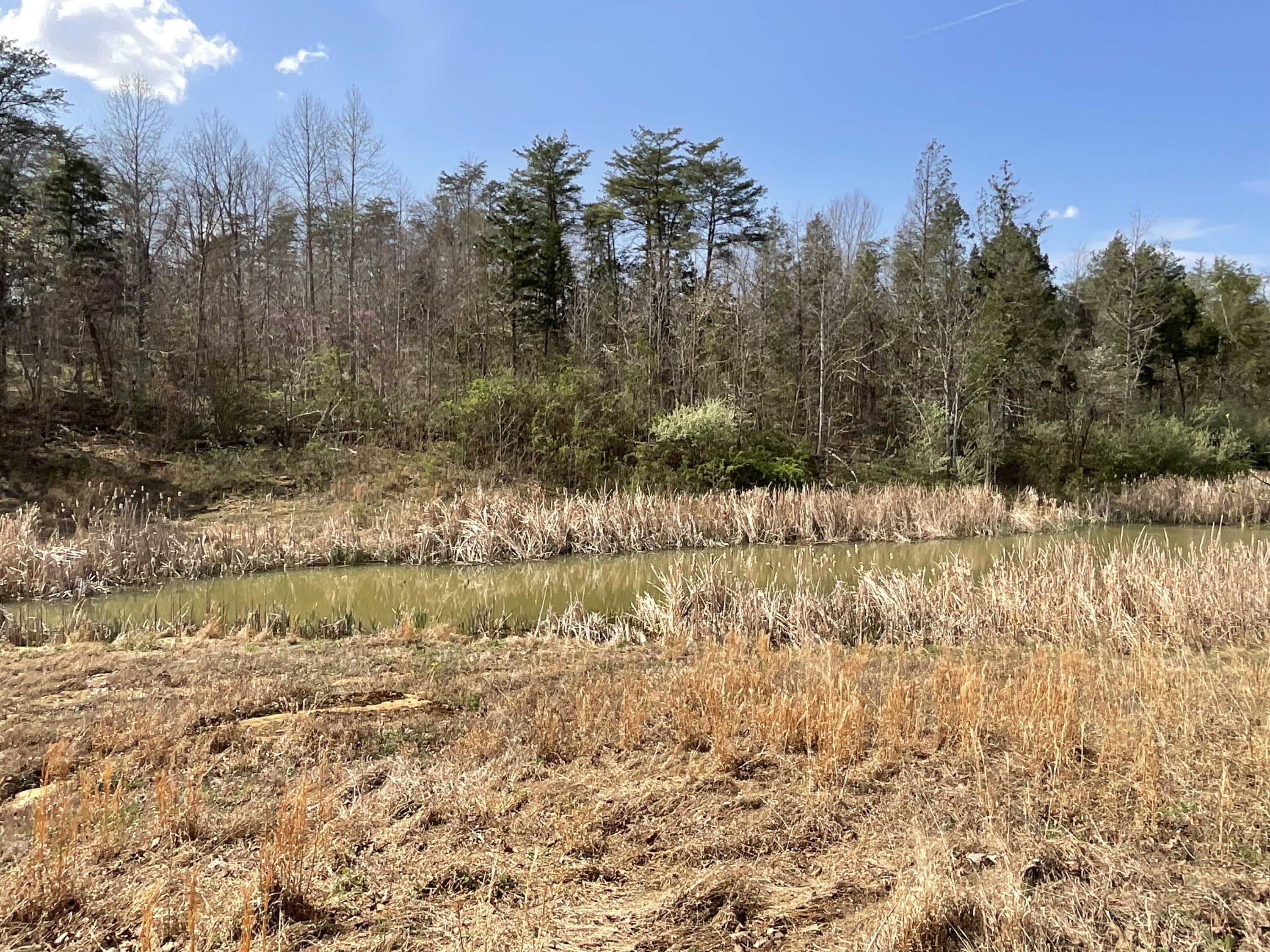 281 Adams Road Property Photo 56